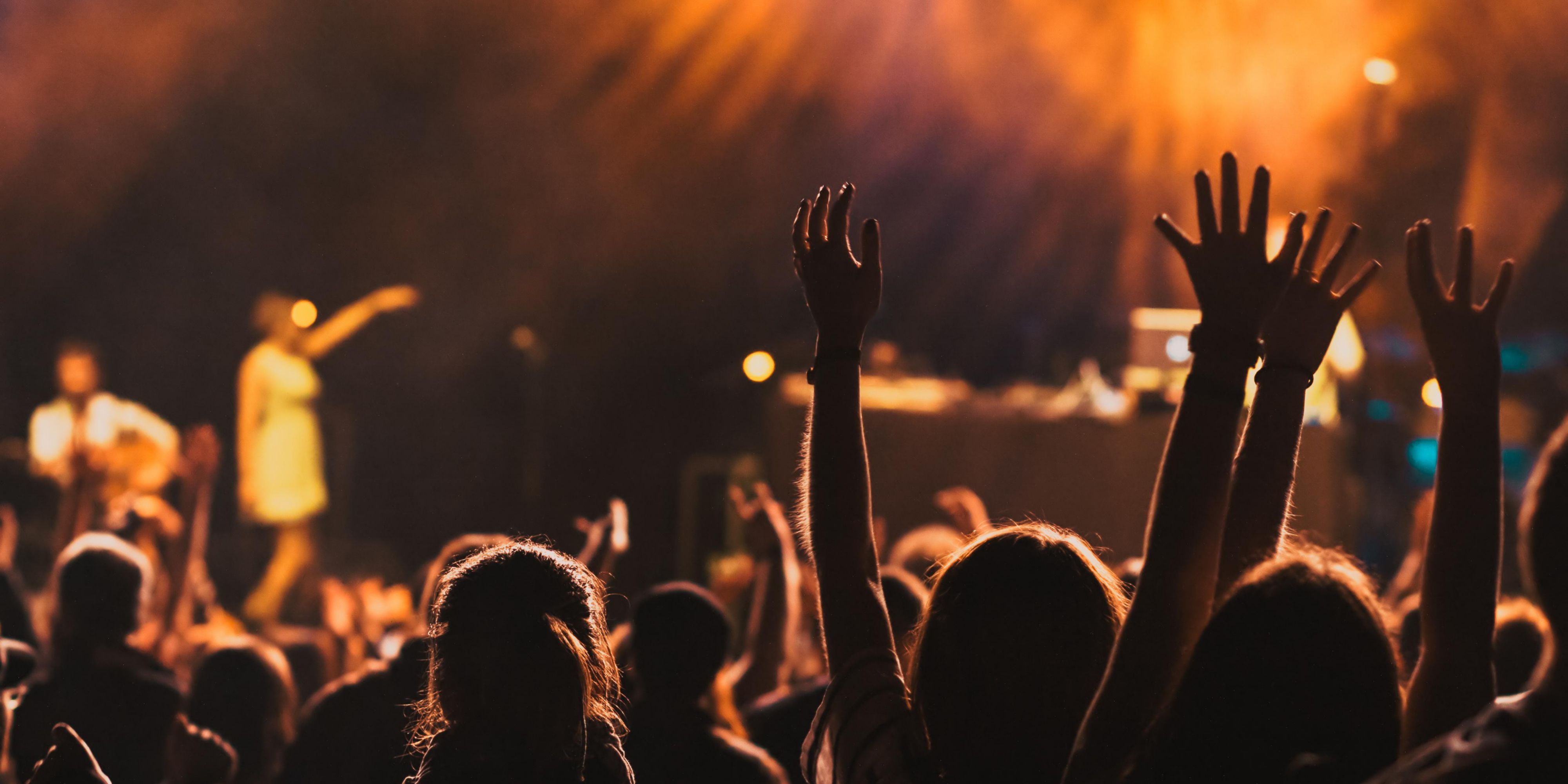 concert crowd