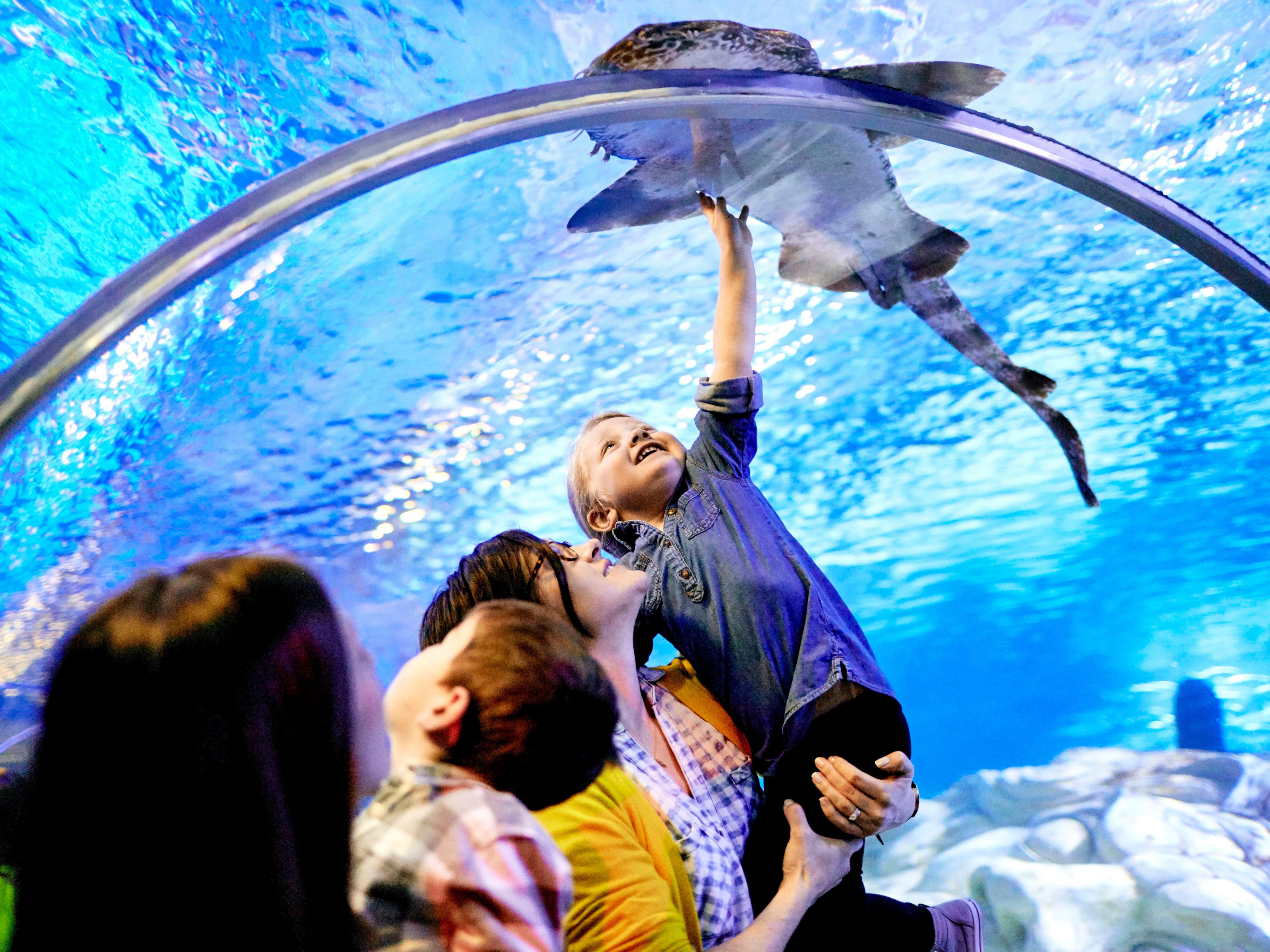 A family looking at fish inside the MOA aquarium
