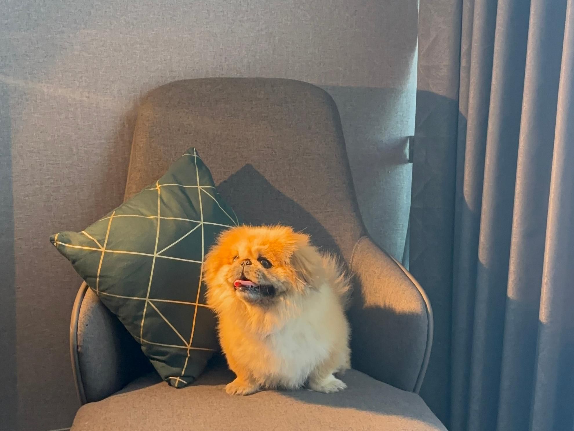 Do not leave your best friend behind pets are welcome to stay with you and share every adventure