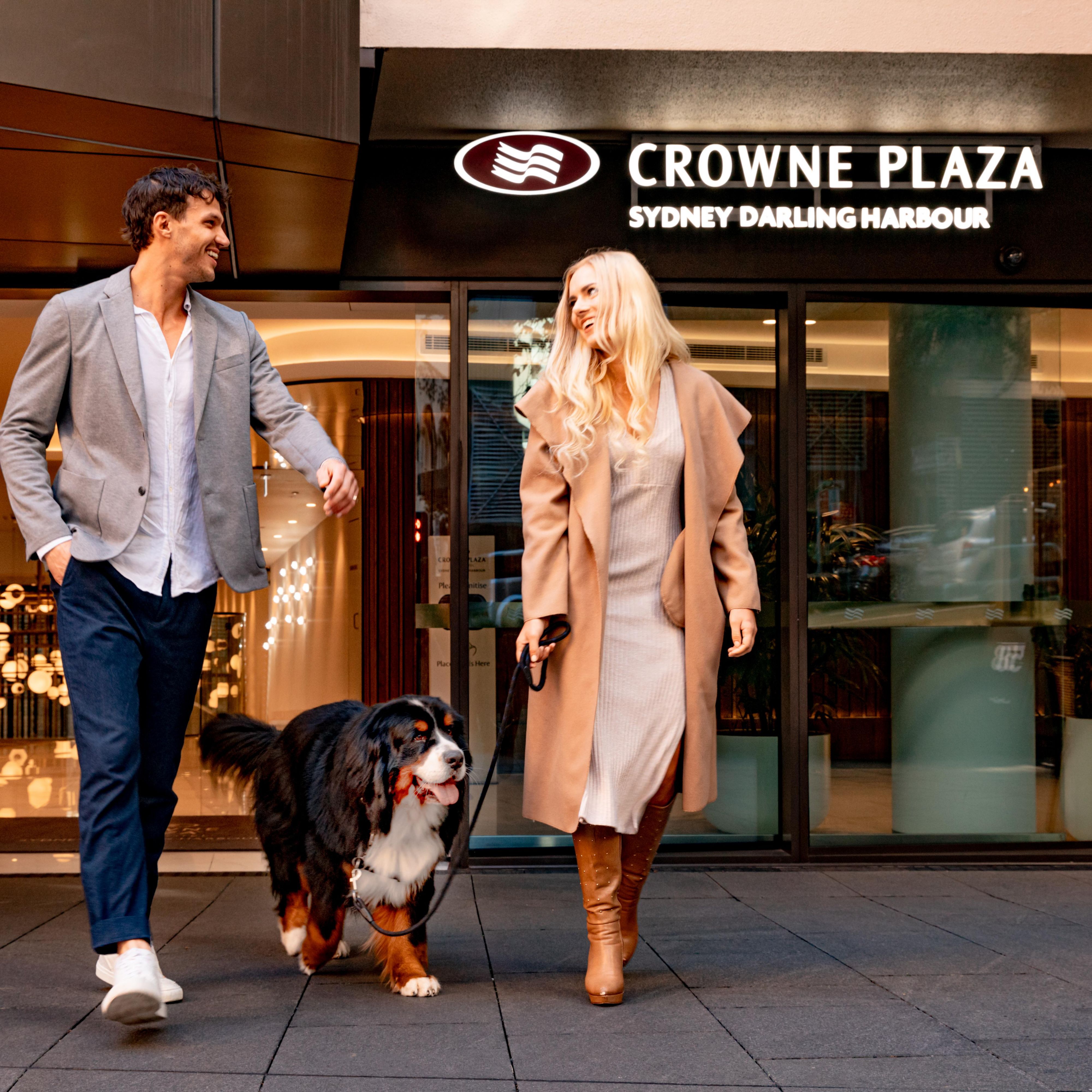Pet Friendly rooms avaliable at Crowne Plaza Sydney Daling Harbour