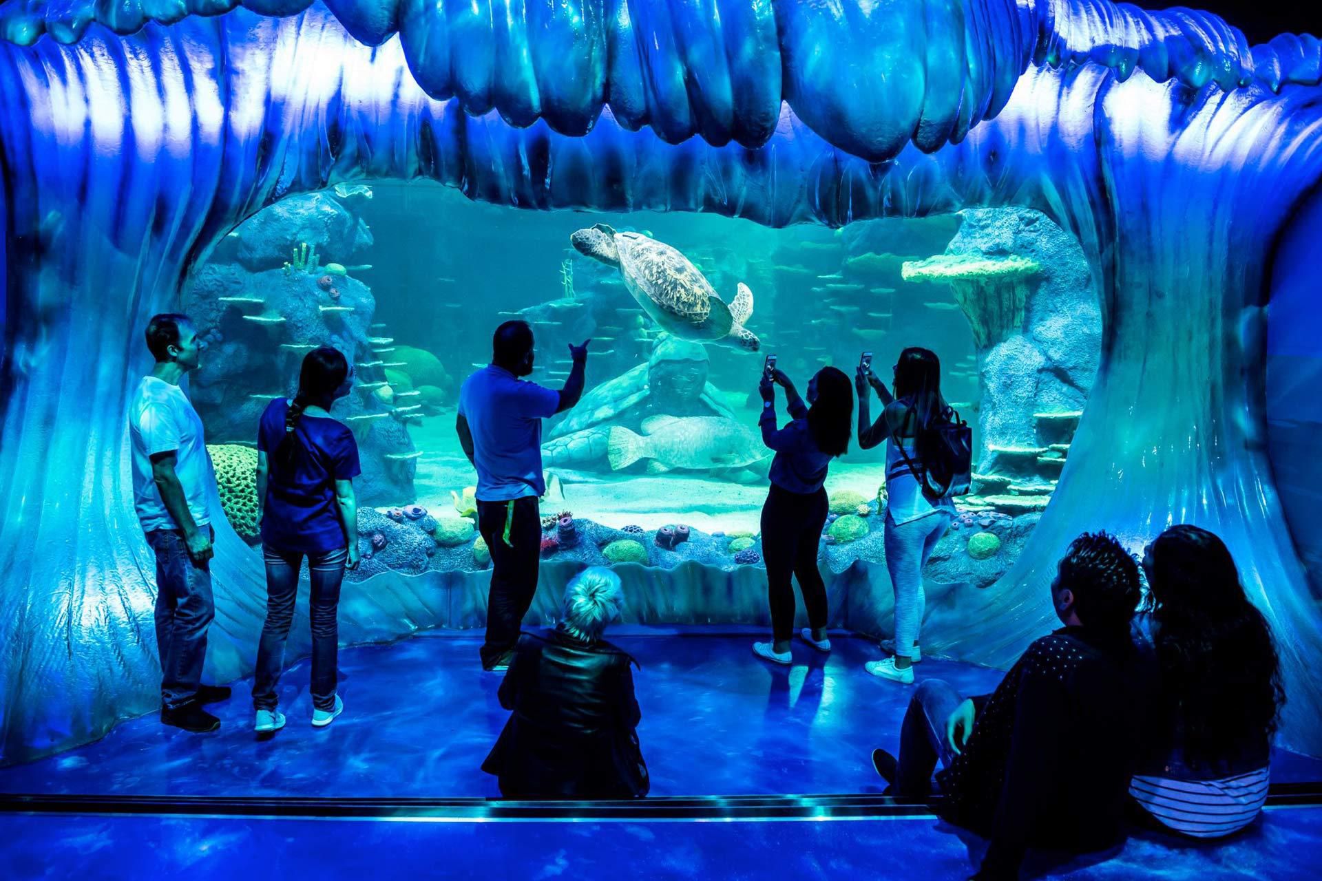 Sydney Aquarium located within close proximity to the hotel