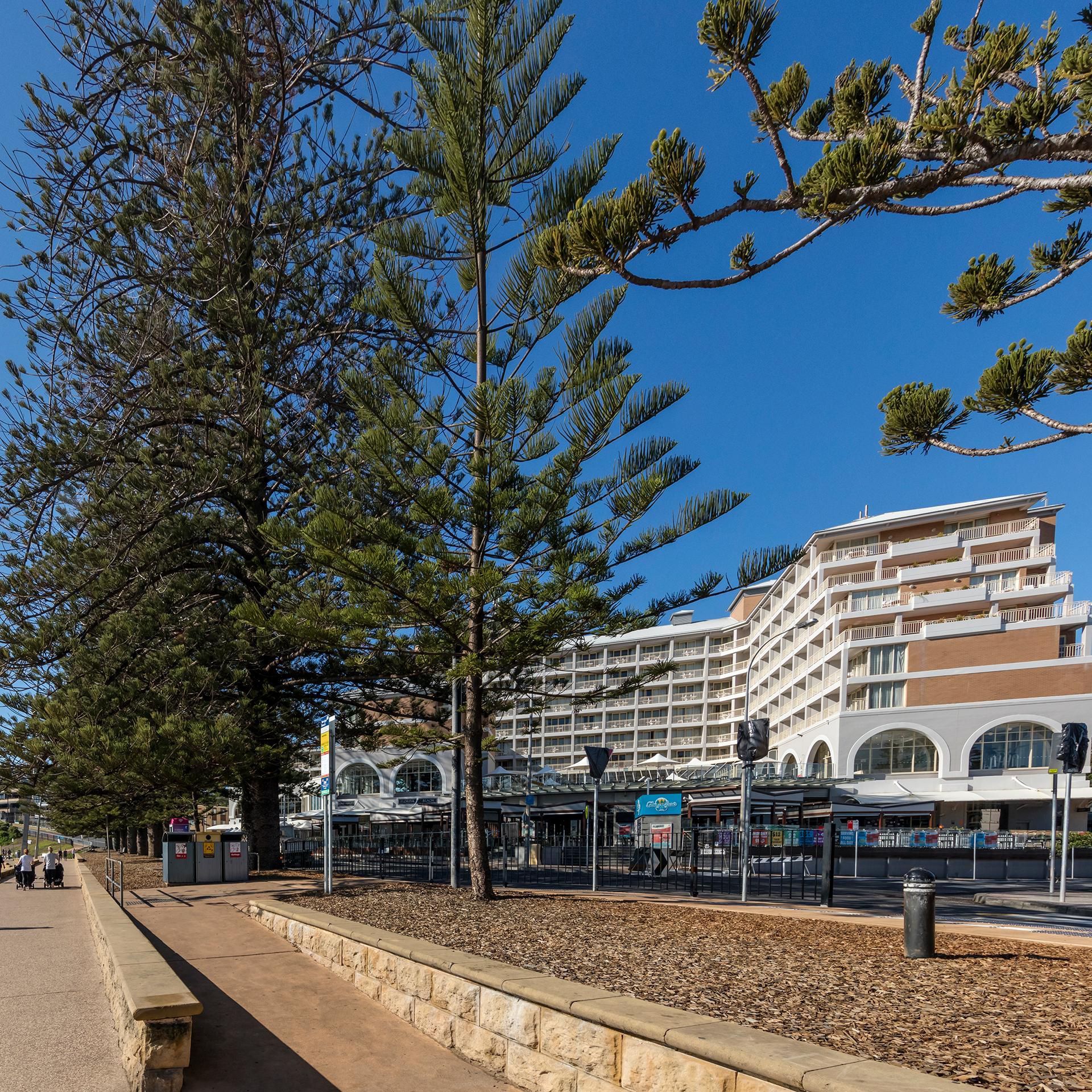 Start your day with a walk along Terrigal Esplanade 