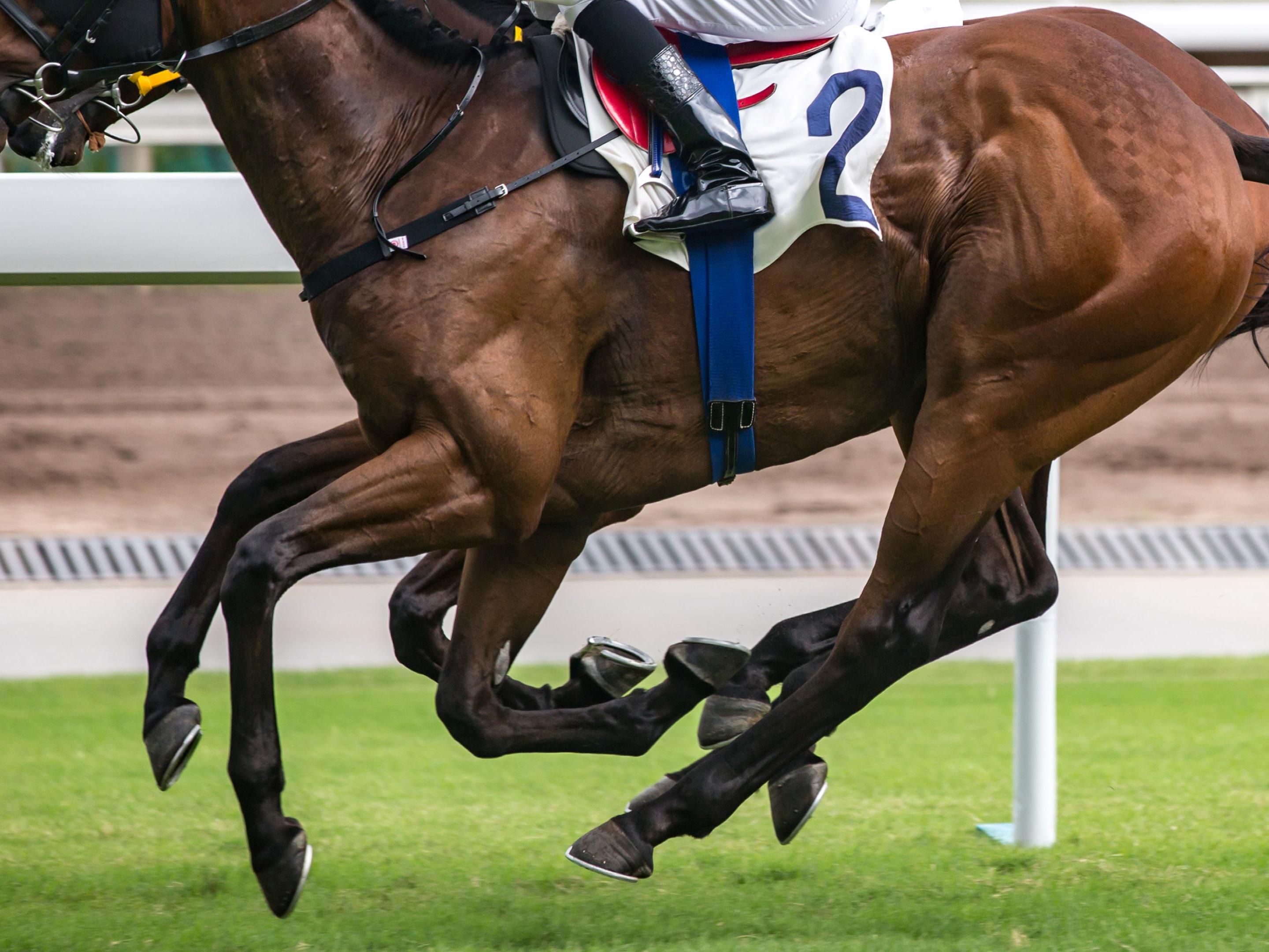 Horse racing