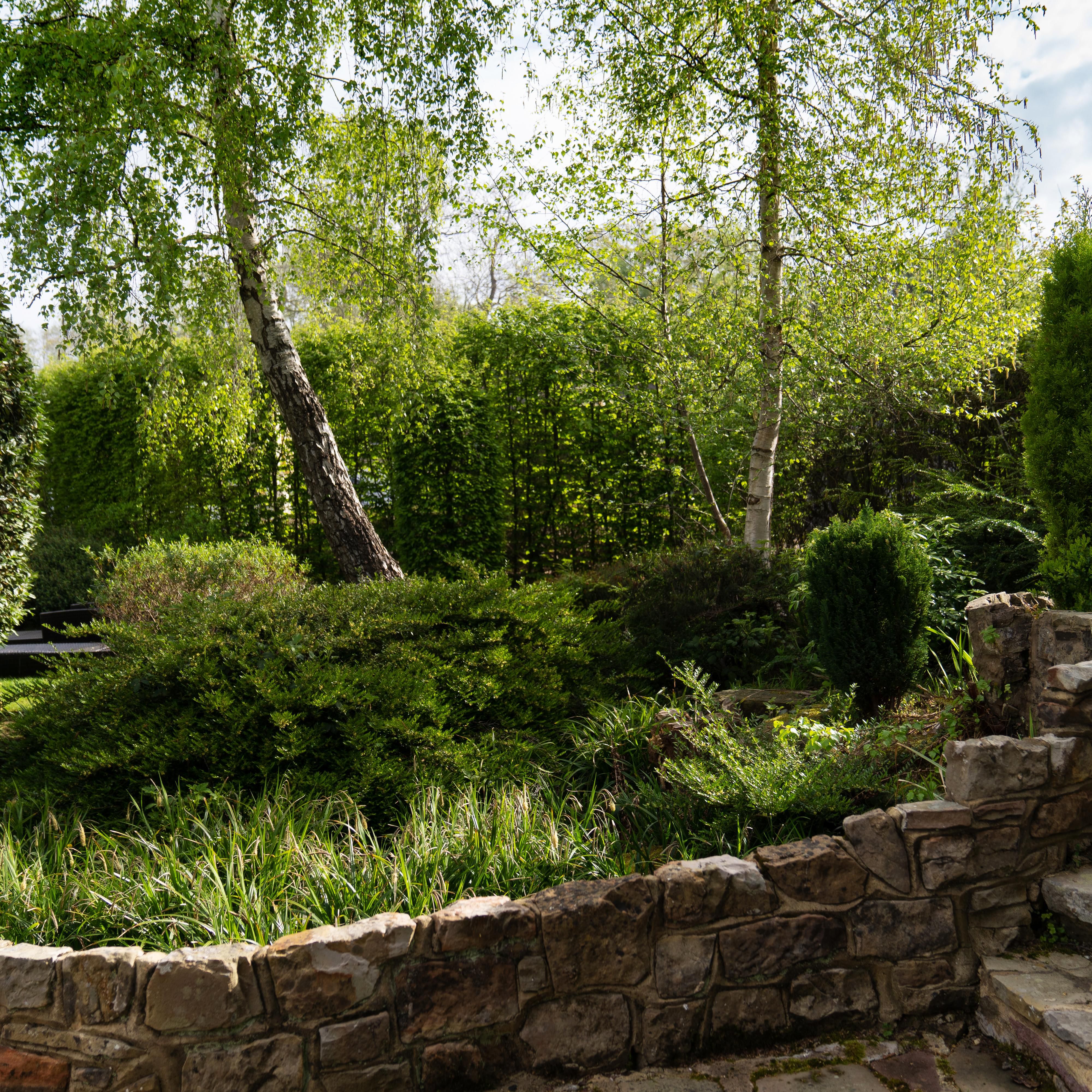 Our stunning courtyard garden for guest to enjoy.
