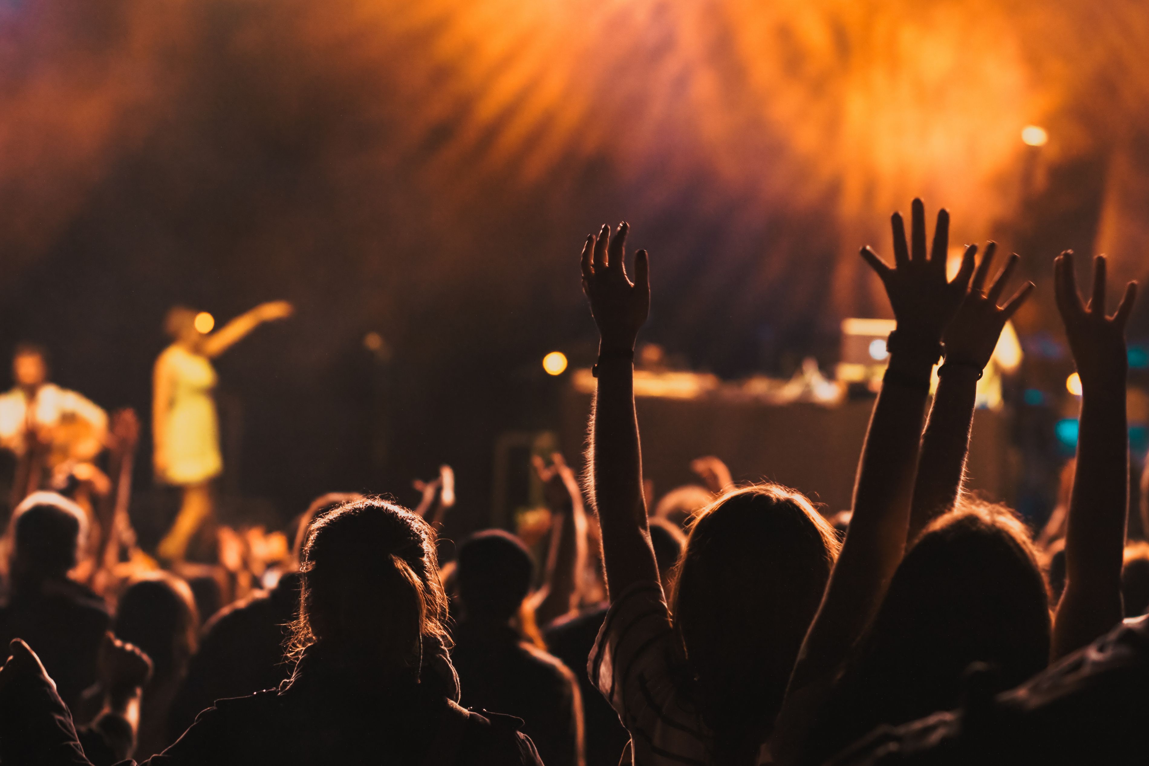 Crowd at a concert