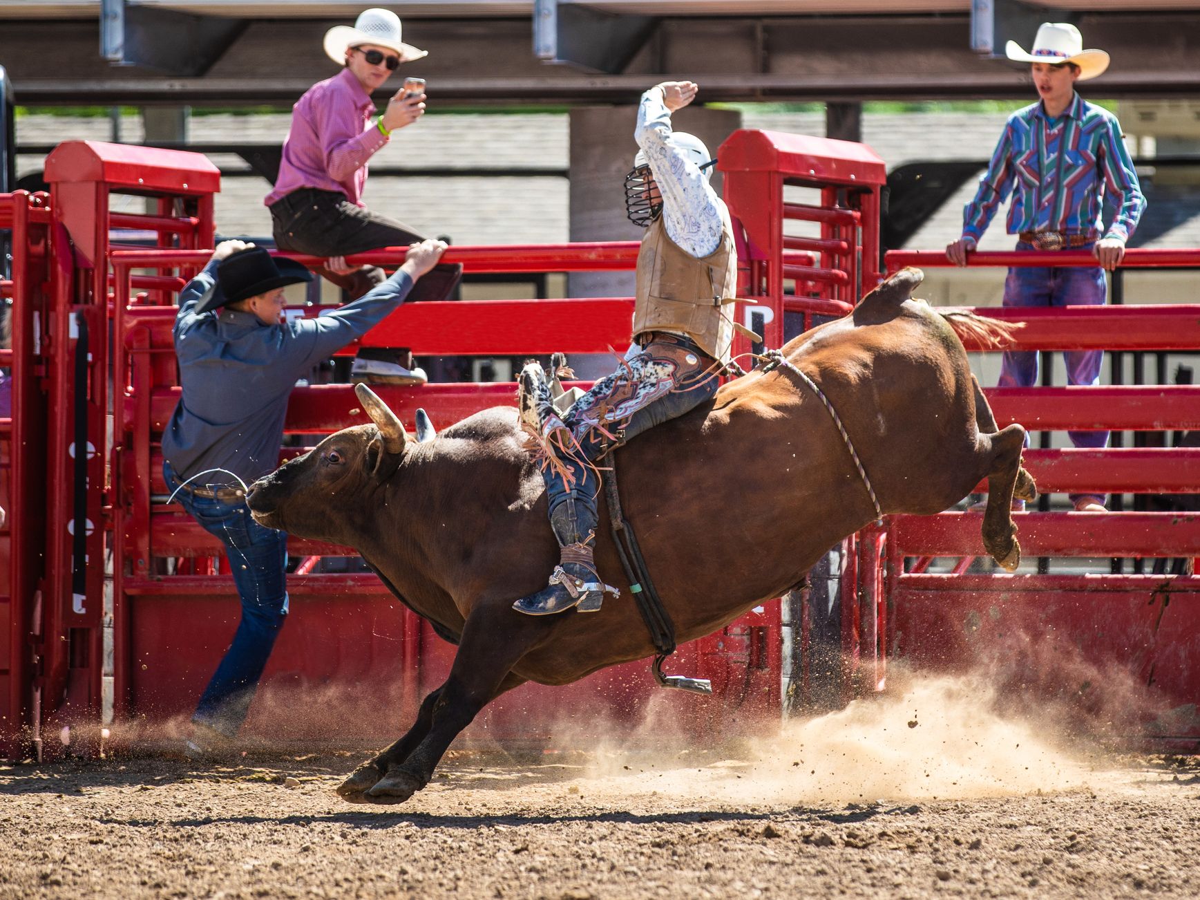 Man riding a bull at a rodeo