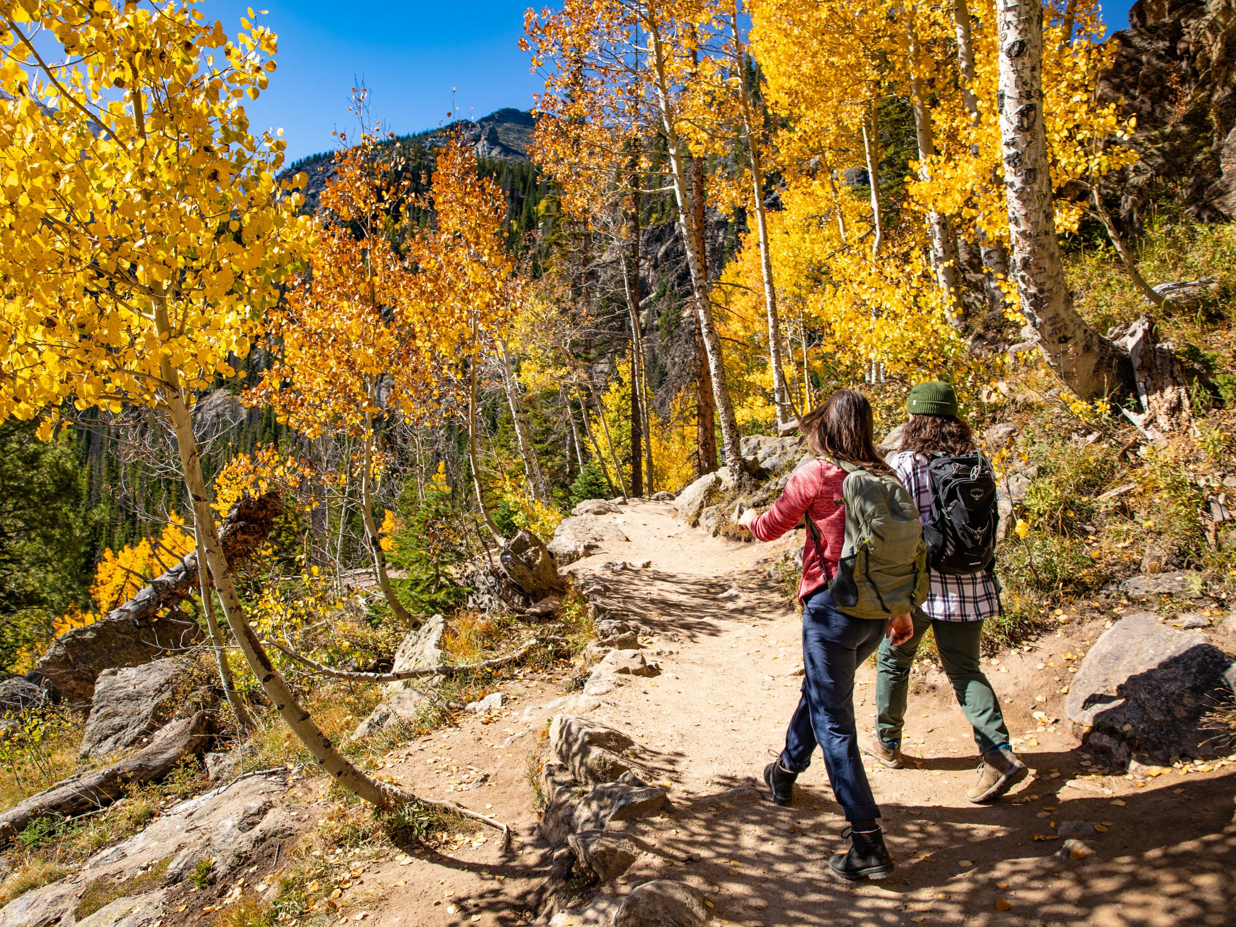 A morning hike to see the leaves.