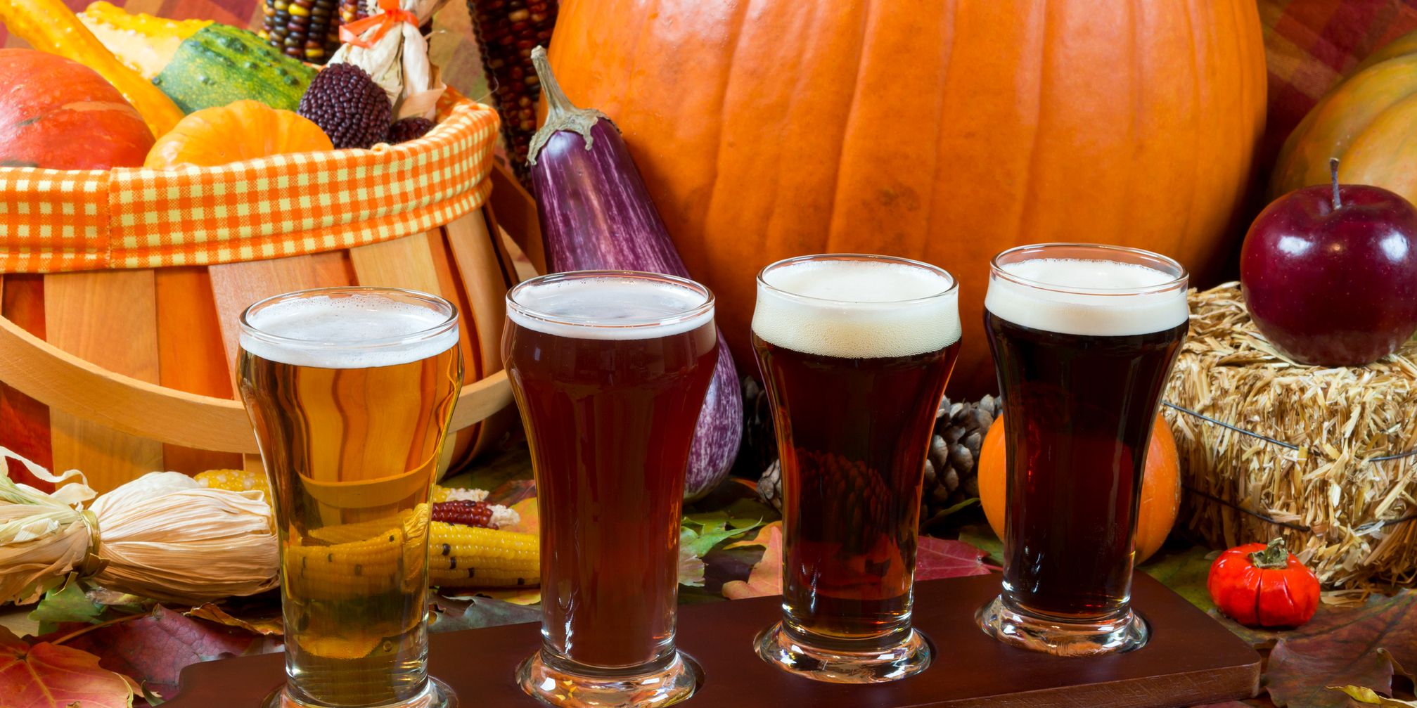 Pilsners in front of pumpkins