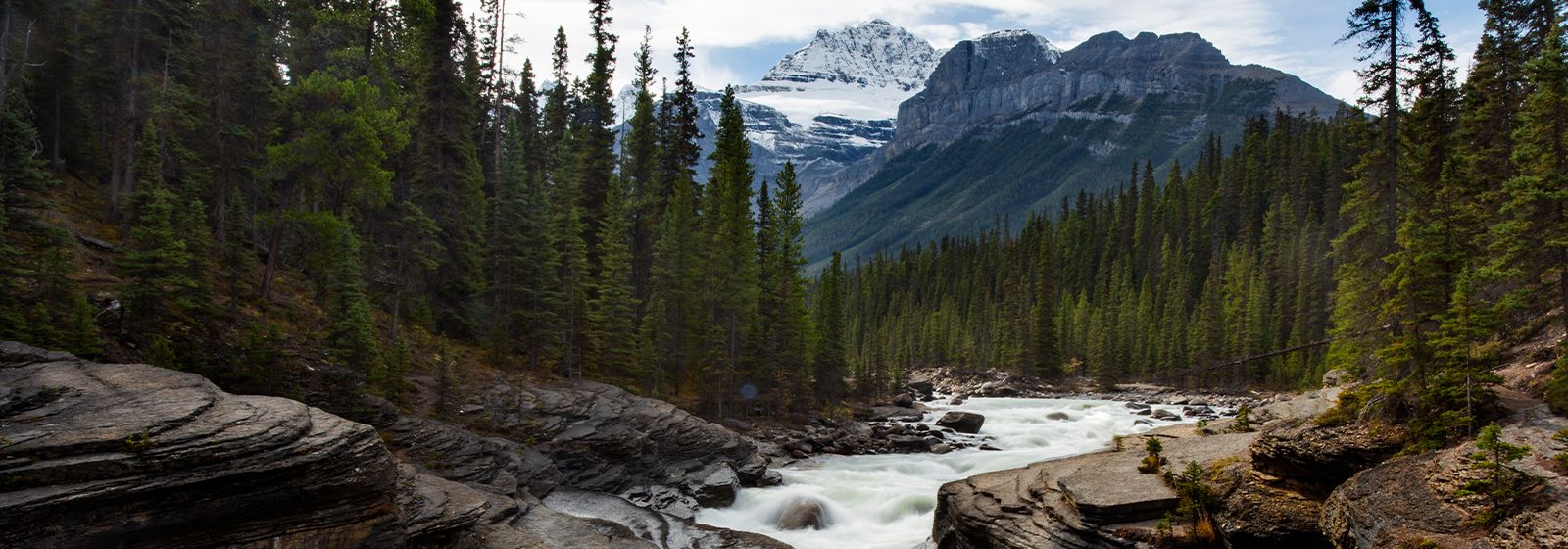 Rivière qui sillonne le long de grands arbres avec des montagnes au loin