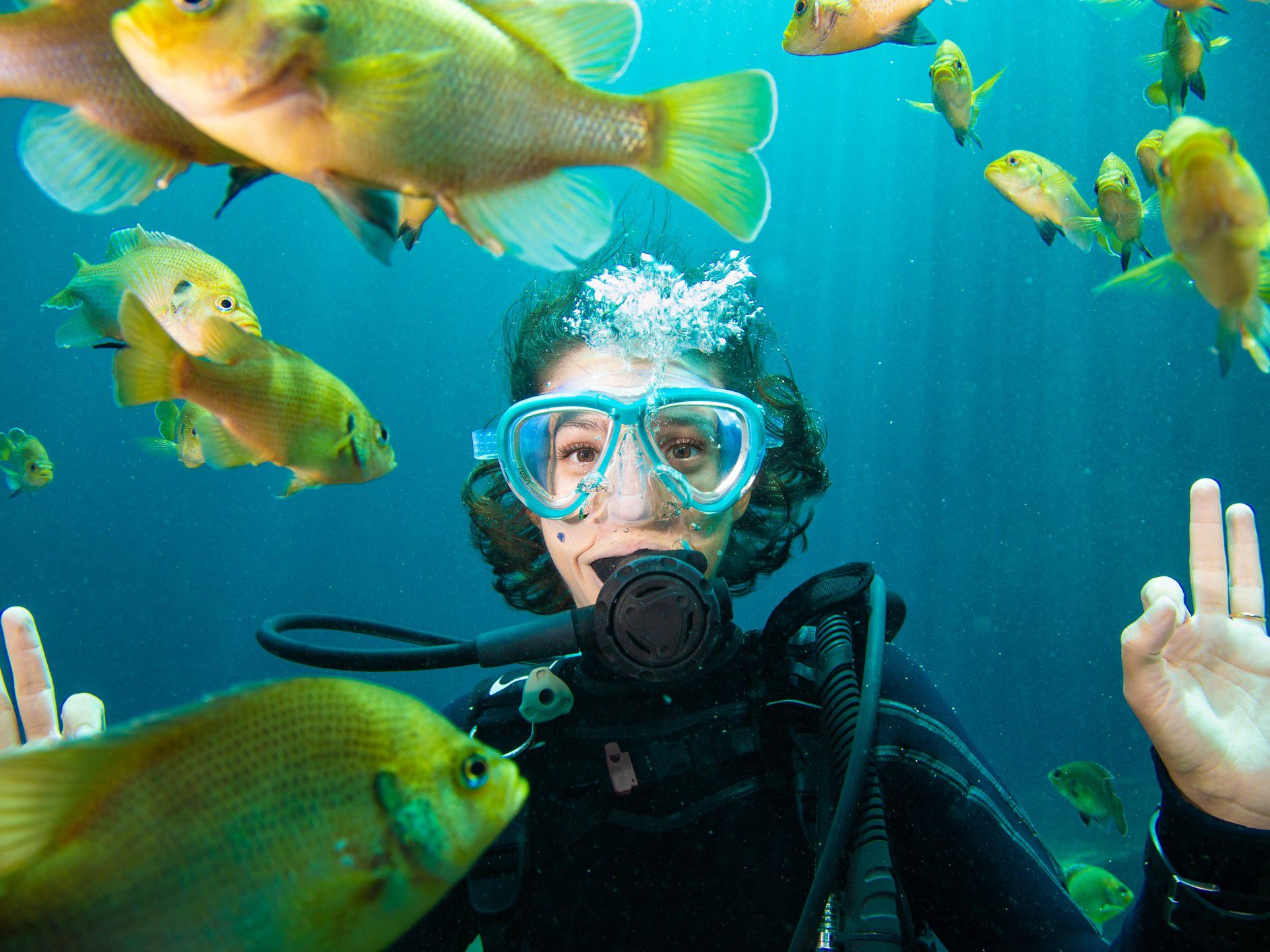 Diver with fish surrounding them