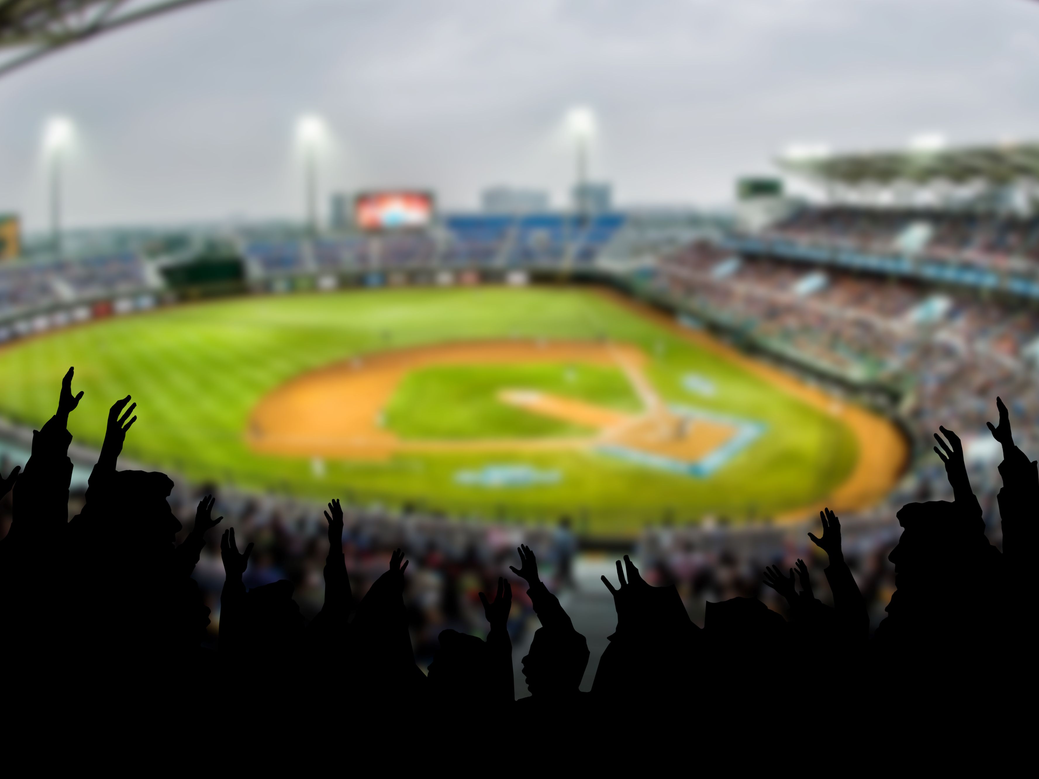 fans at a baseball stadium