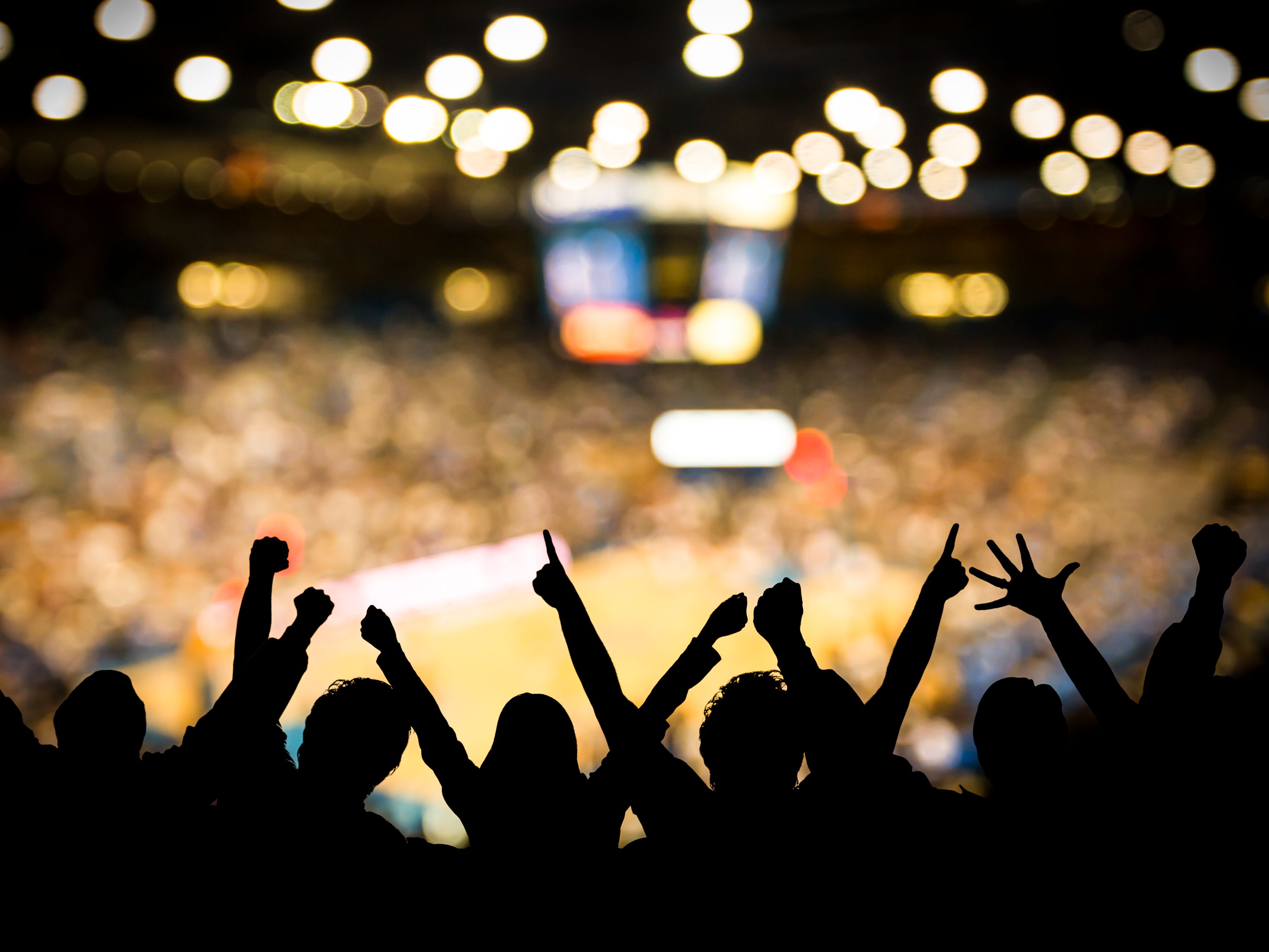 crowd at basketball game