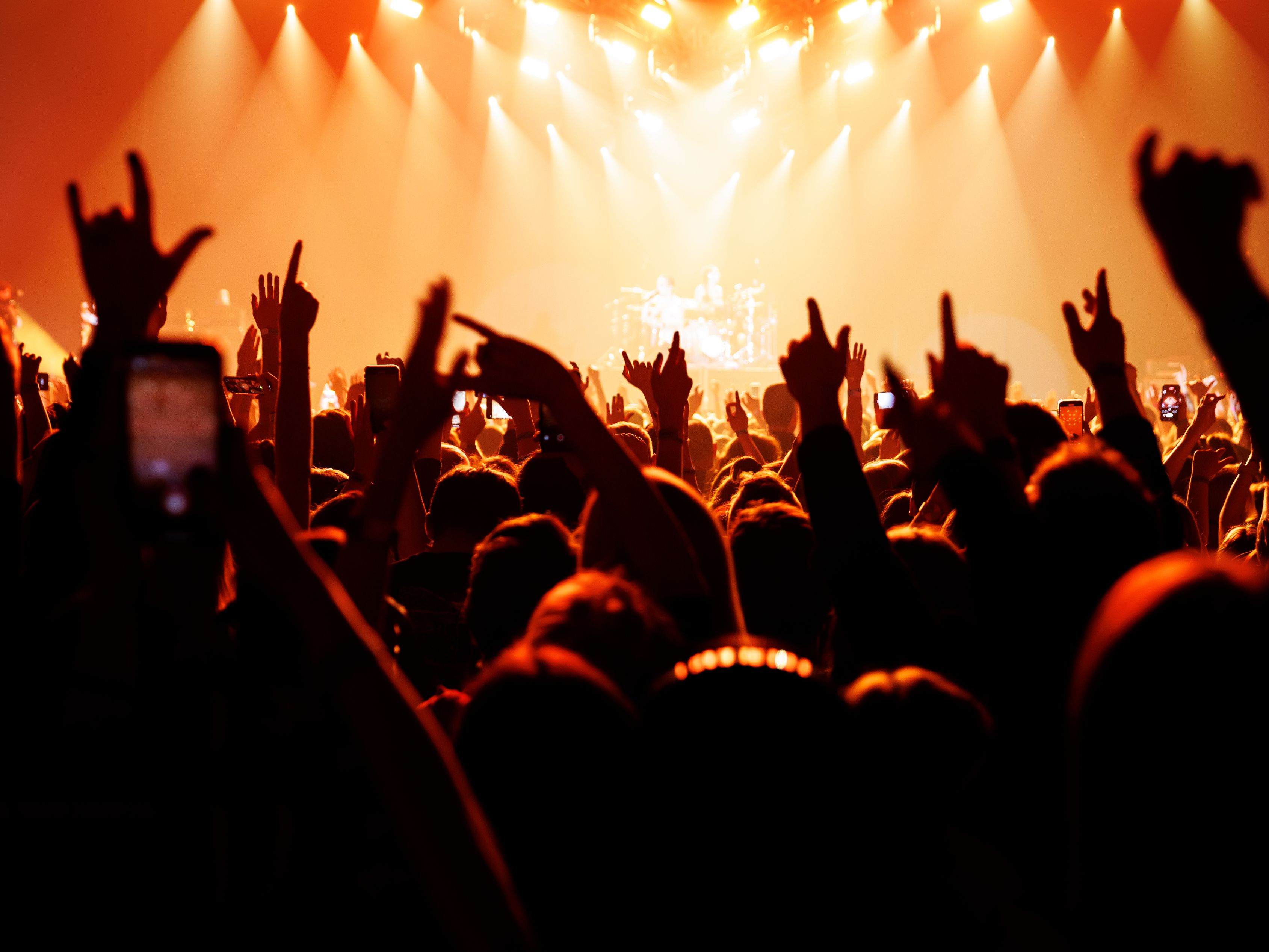 Crowd at a concert