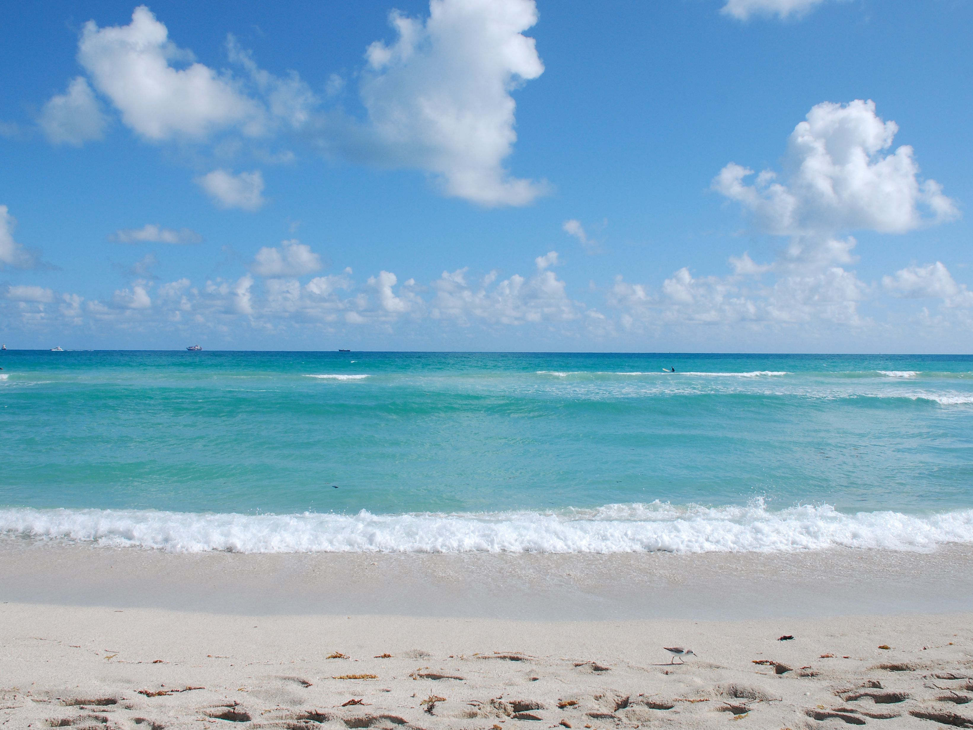 beach and ocean
