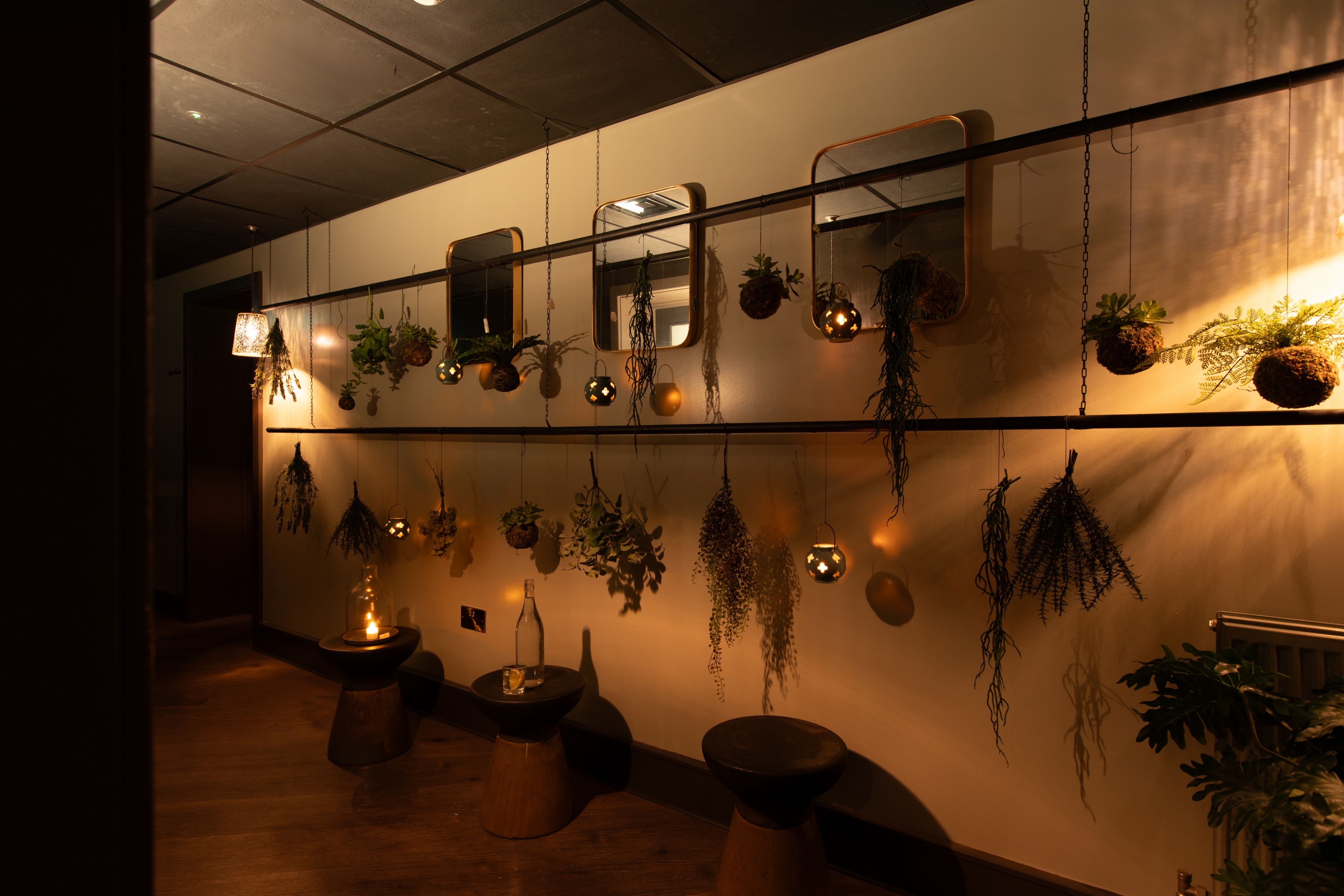 Potted plants in the spa
