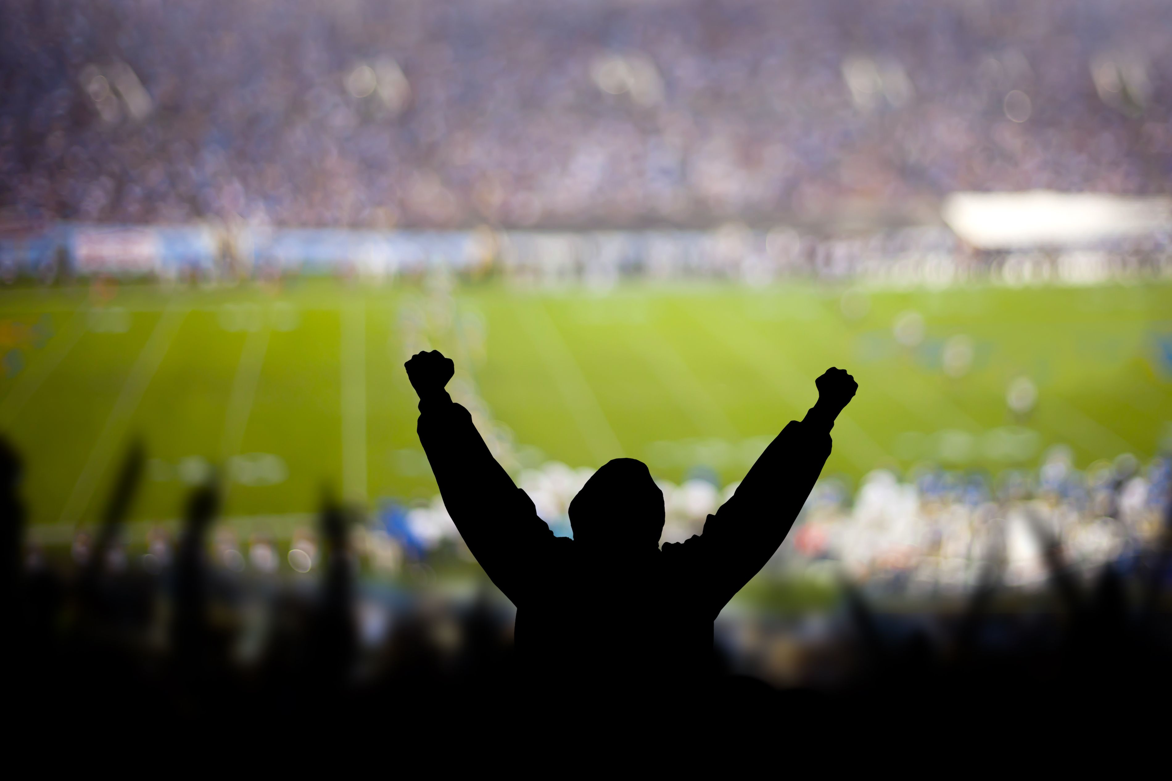 football fans in stadium