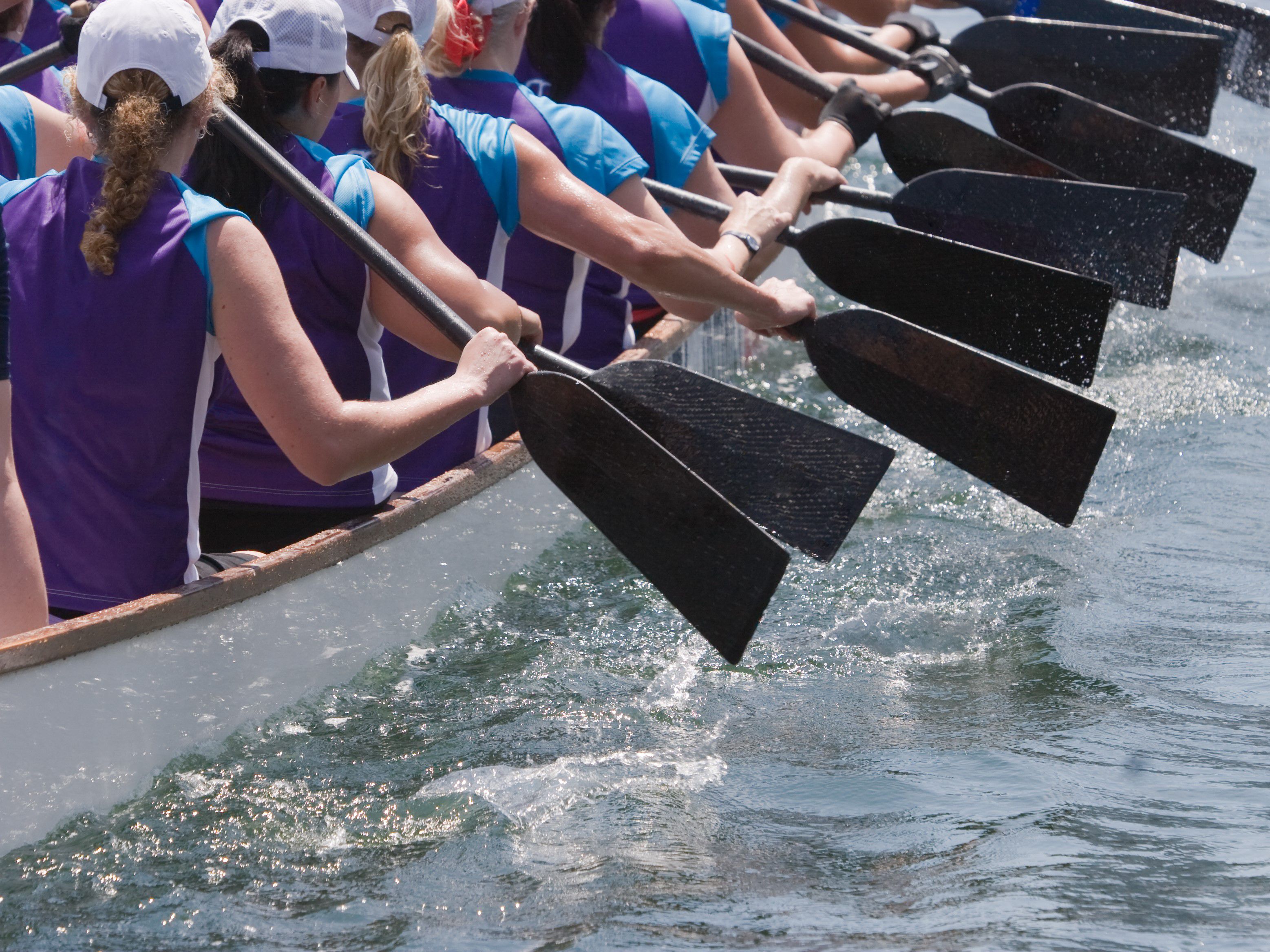 Dragonboat racers putting their paddles in water