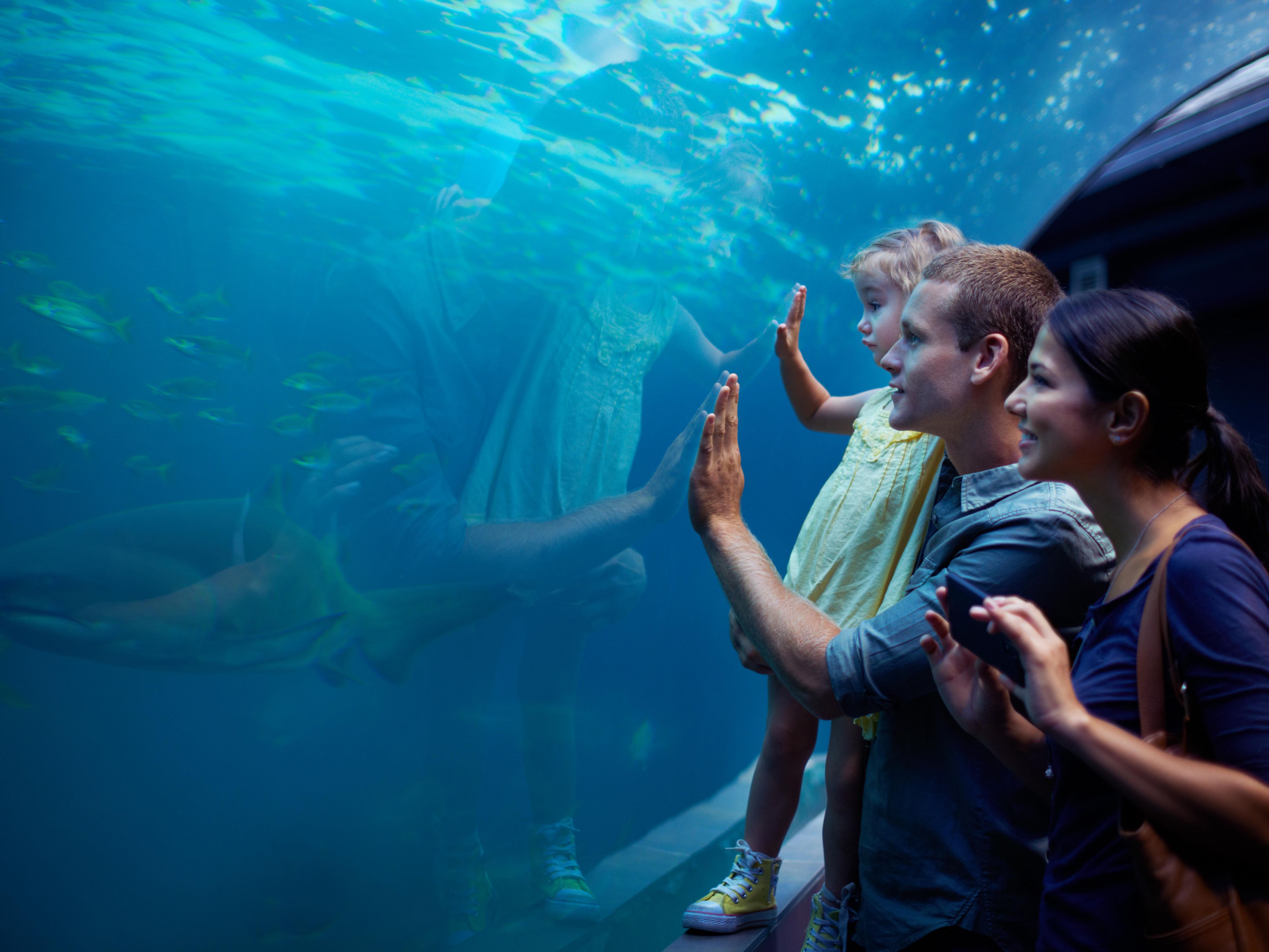 This summer is all about soaking up the sun, creating memories, and living life to the fullest! Make the most of your travel to Atlanta, Georgia, by staying at our hotel near the Georgia Aquarium, World of Coke, and beautiful Piedmont Park. We provide the perfect base for your adventures, ensuring a comfortable and convenient stay with your family.
