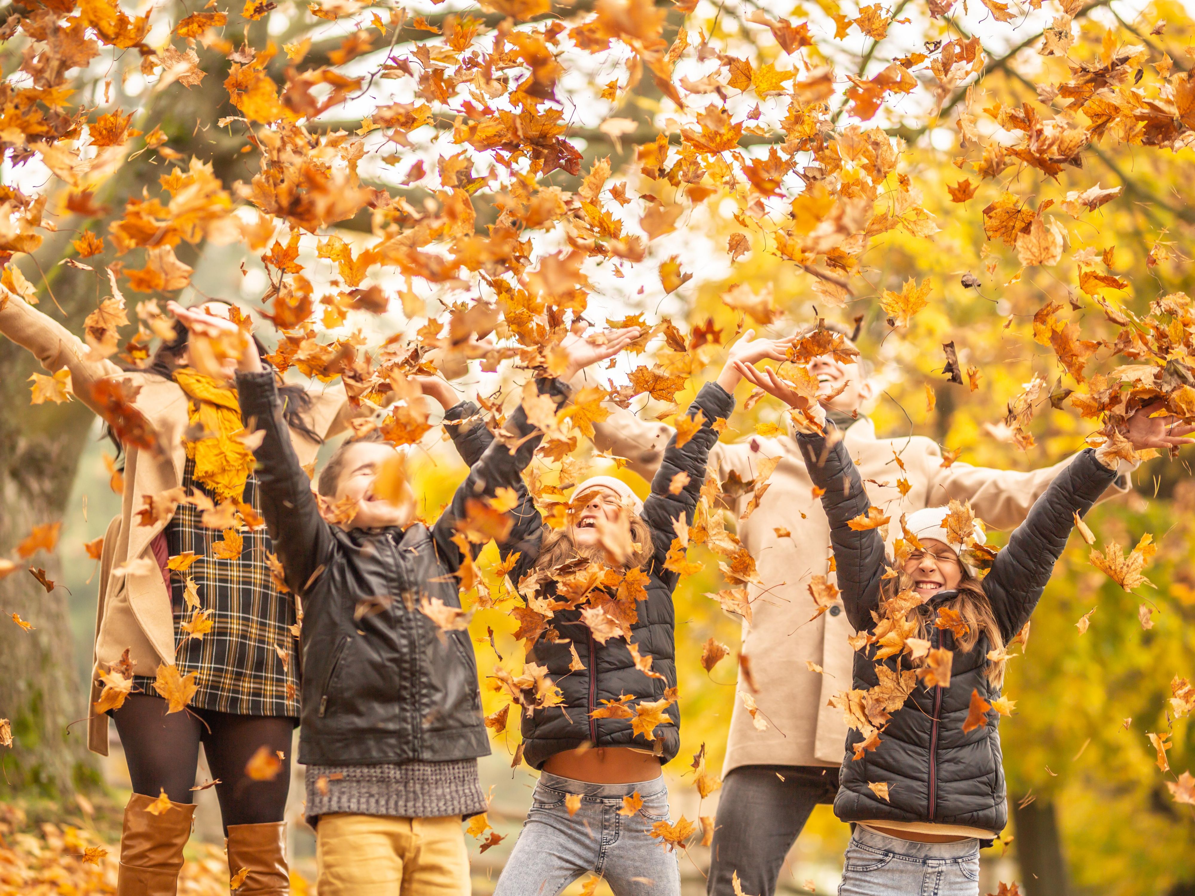 Fall Travel in Atlanta