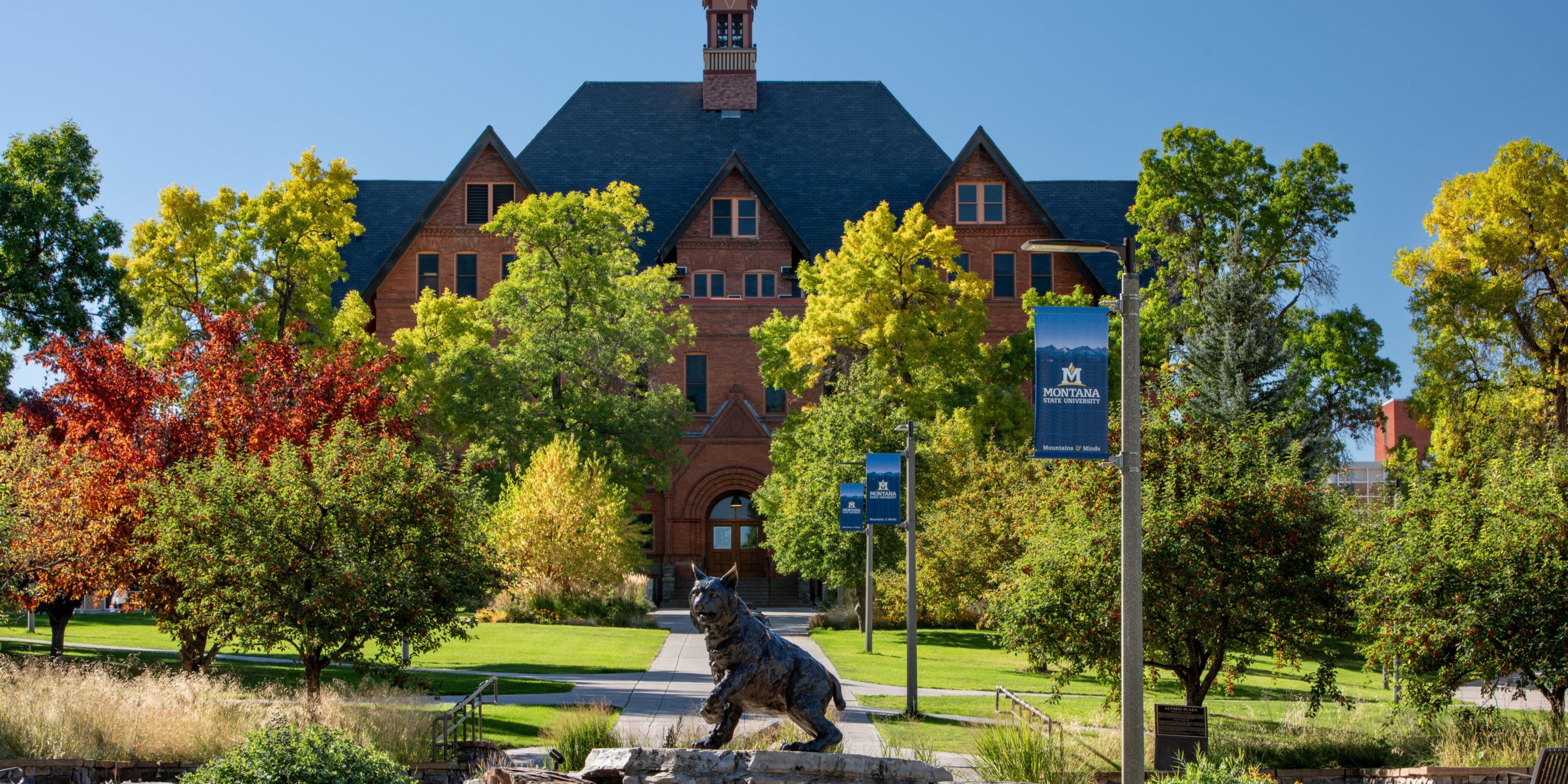 Montana state university campus