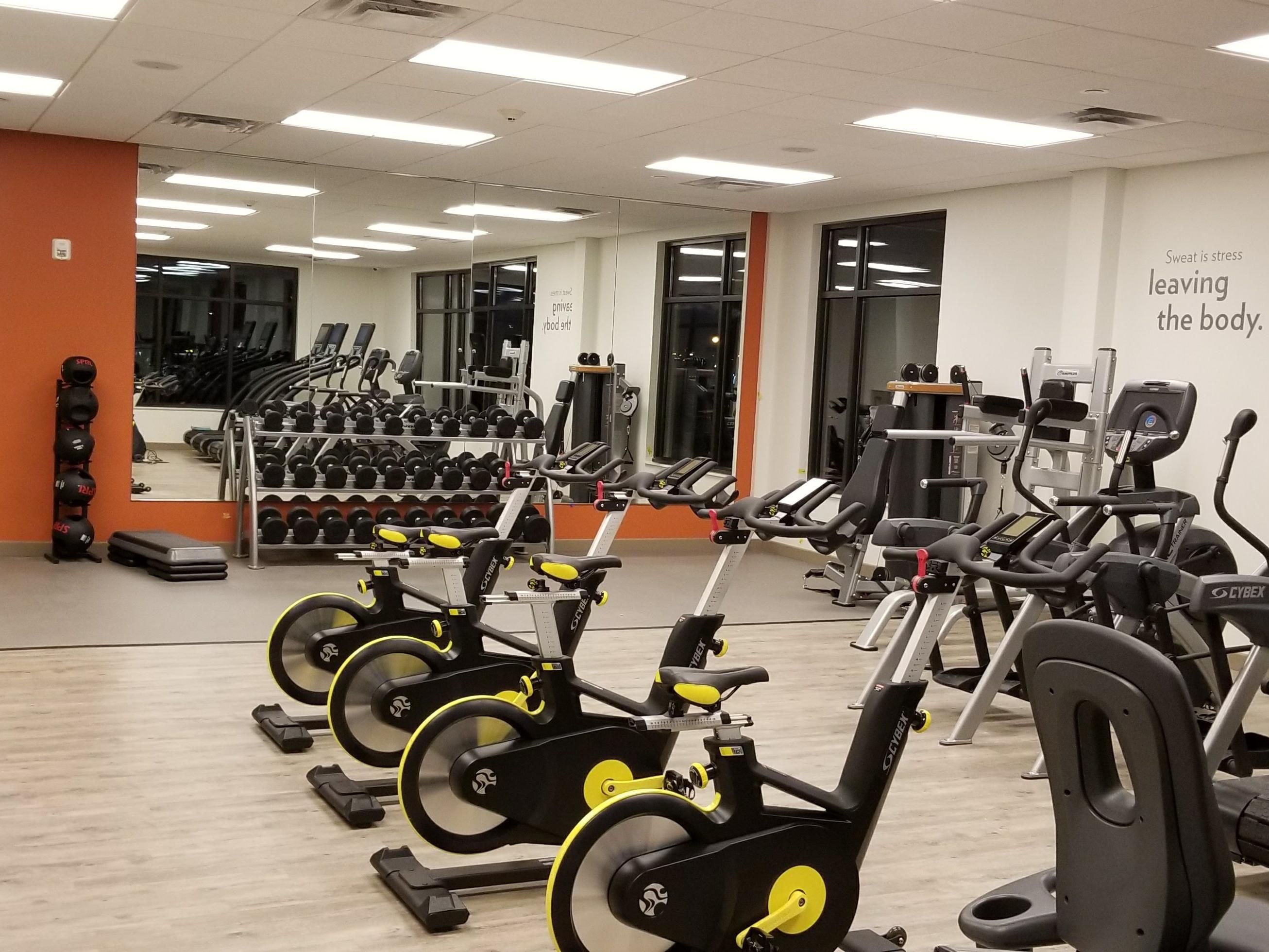 Our modern hotel gym includes state-of-the-art athletic equipment.