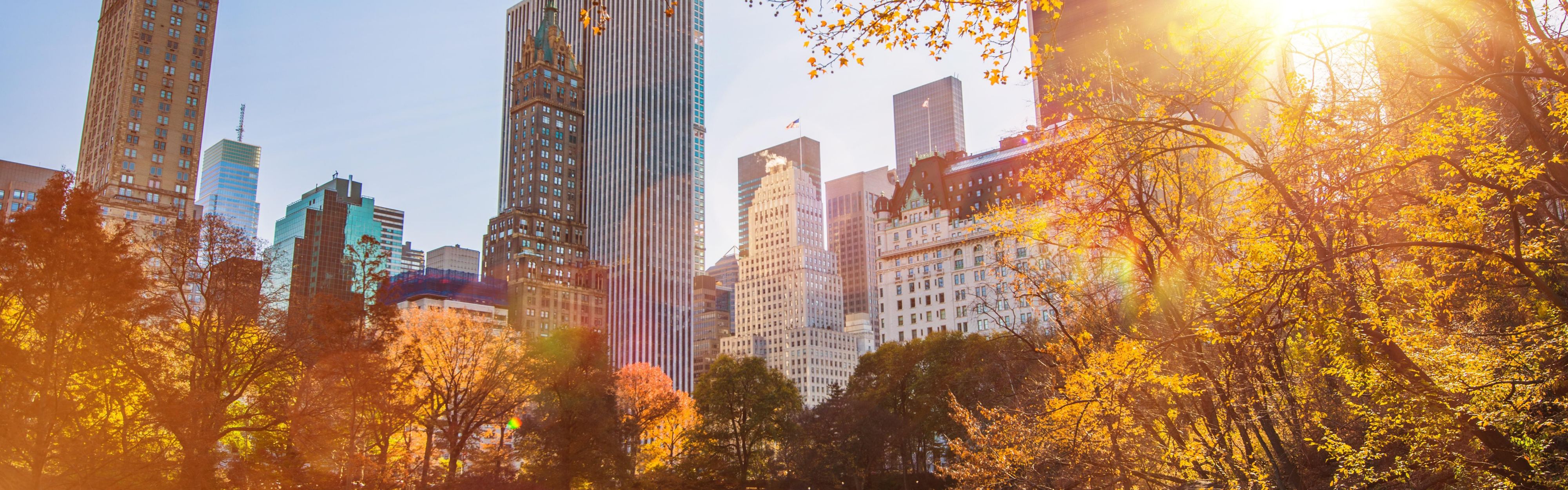 Breathe in nature's beauty at Central Park, a serene city escape.