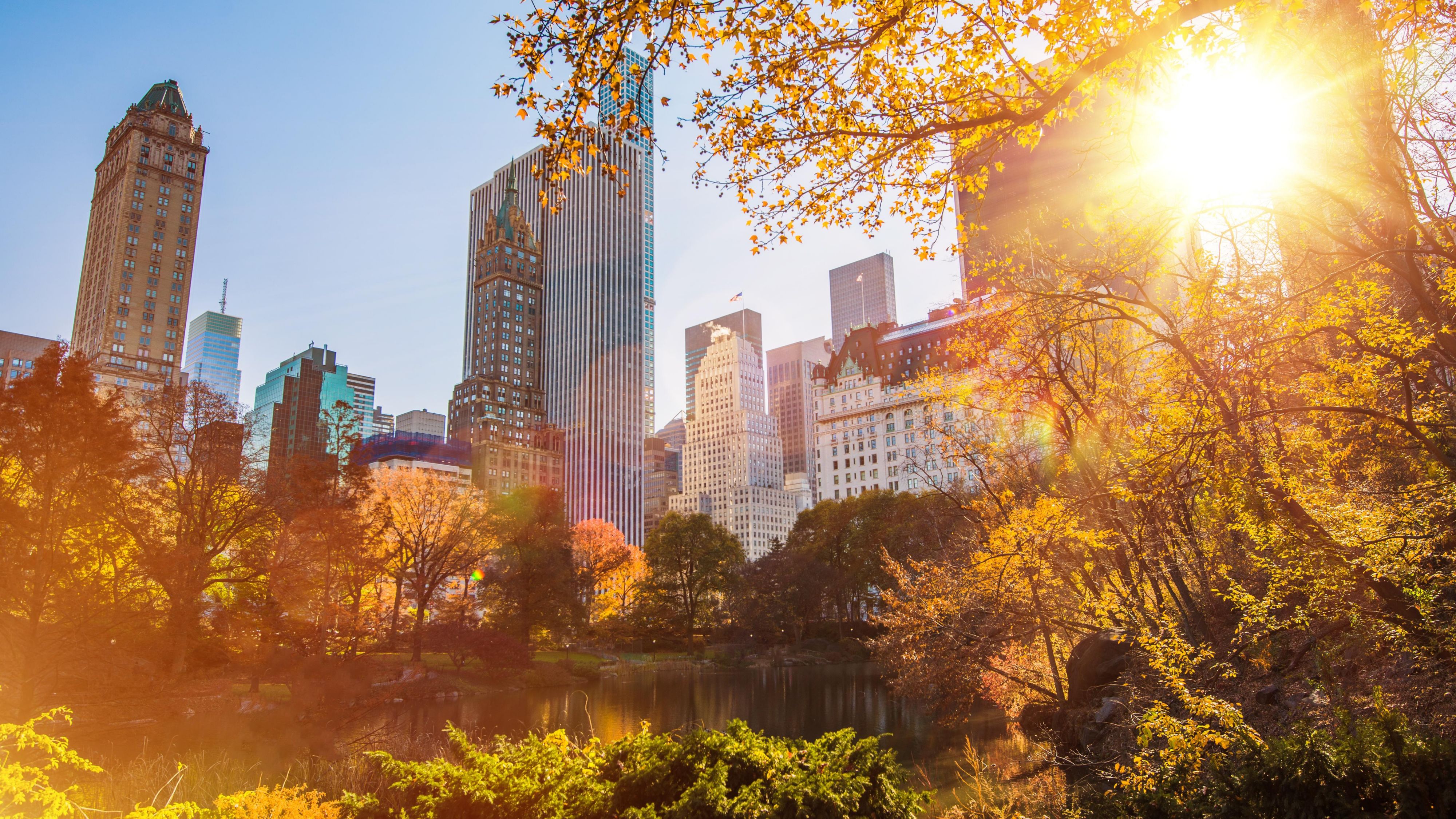 Central park during the fall with the sun shining through