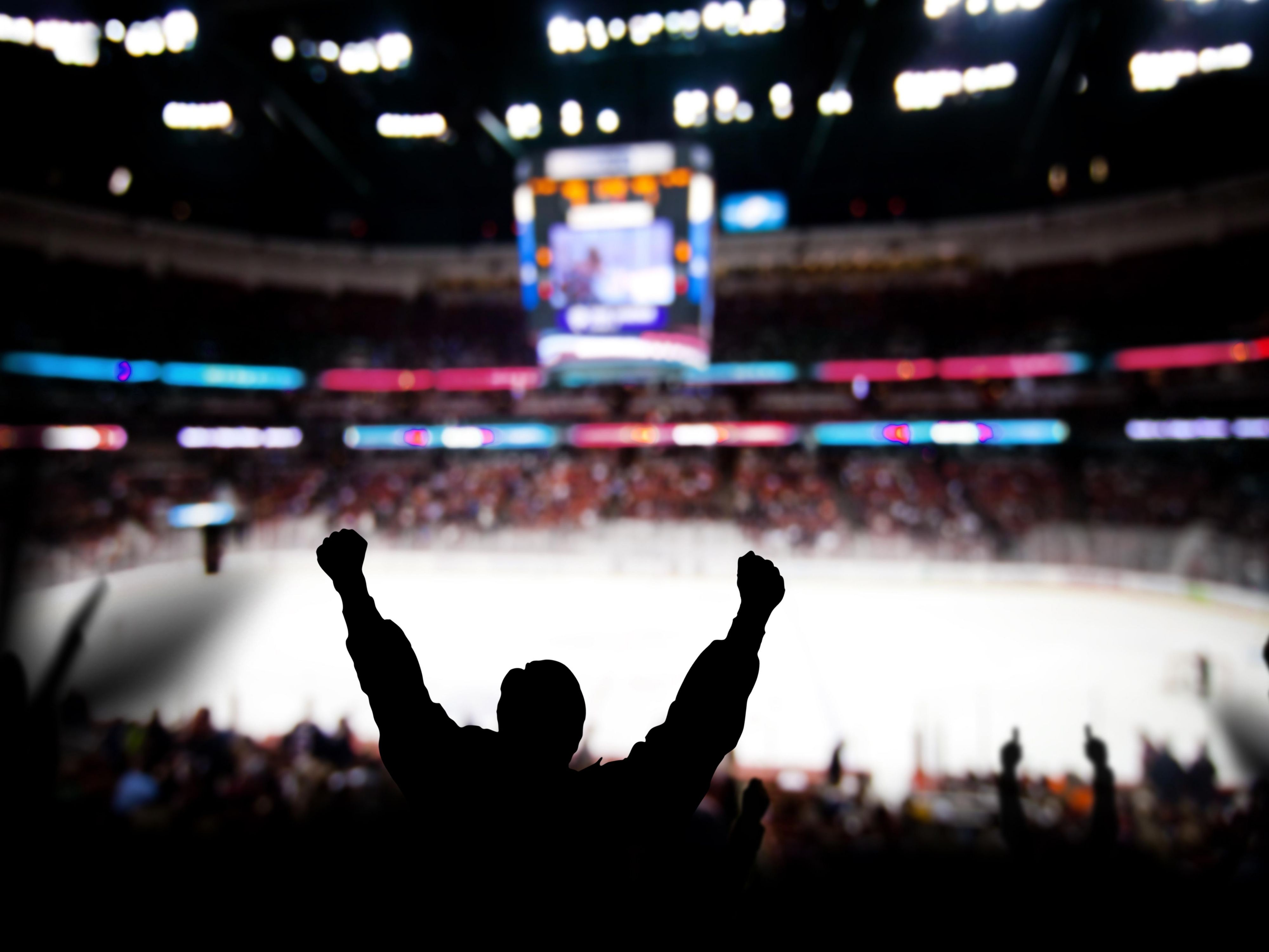 Fan in hockey arena