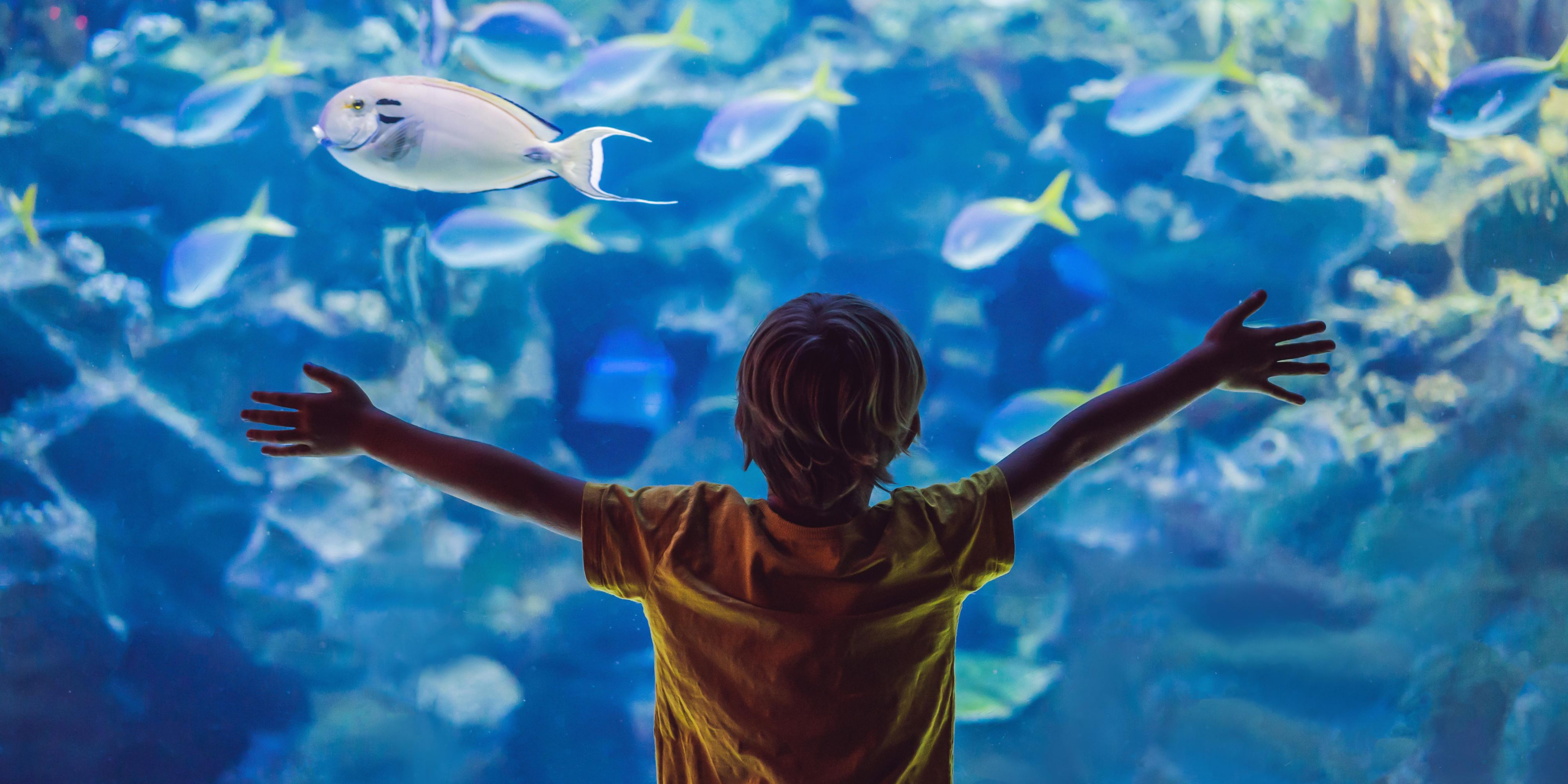 Childr in front of a display in aquarium