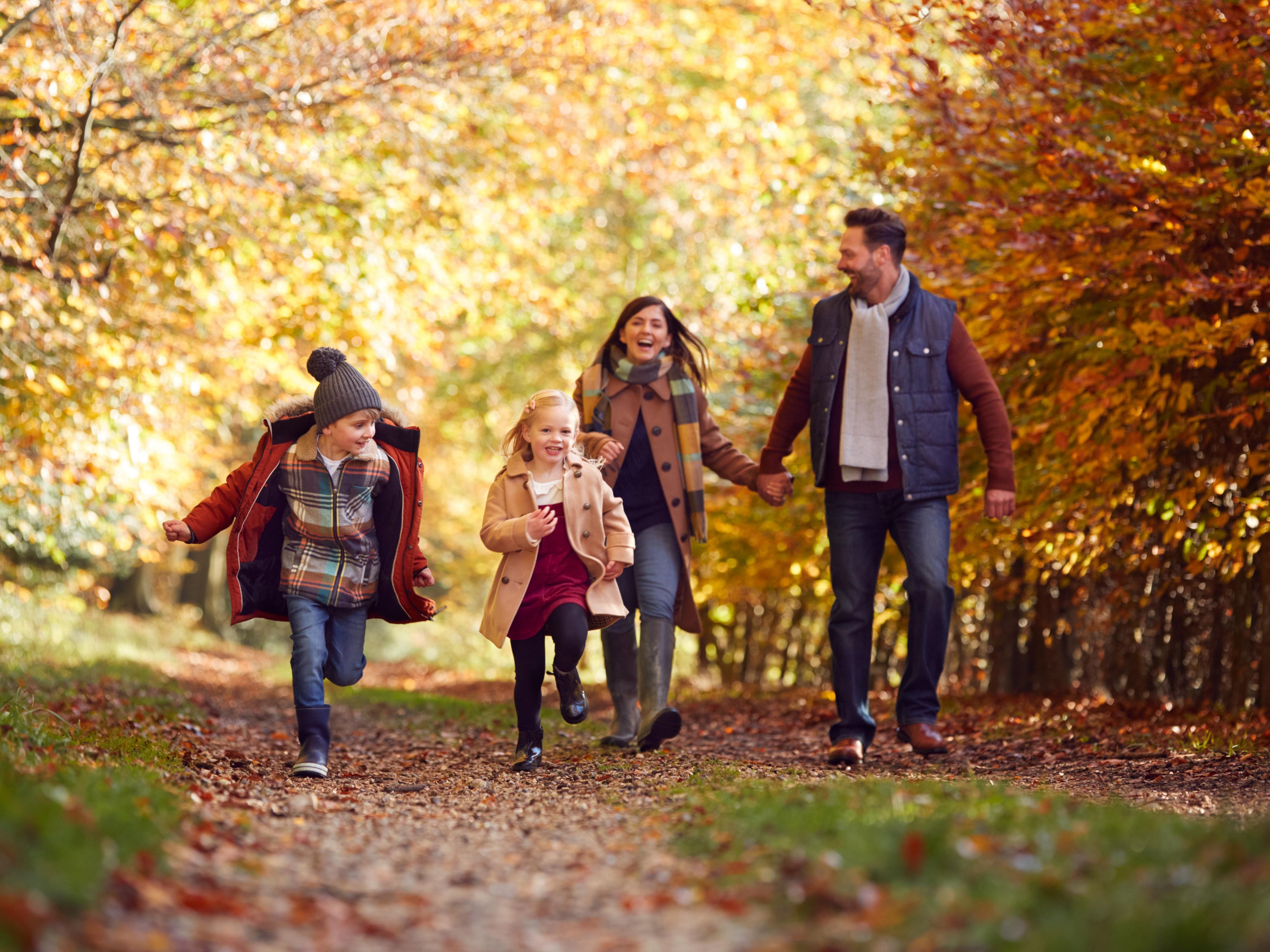 Our hotel is within a short distance to many amazing fall festivals and events. Taste a variety of drinks at the Oktoberfest events (Sep 19-21), enjoy fresh tacos and live music at the Original Pittsburgh Taco Festival (Sep 6), let your eyes be mesmerized by the Fall Flower Show at the Phipps Conservatory and Botanical Gardens (Oct 4-26).
