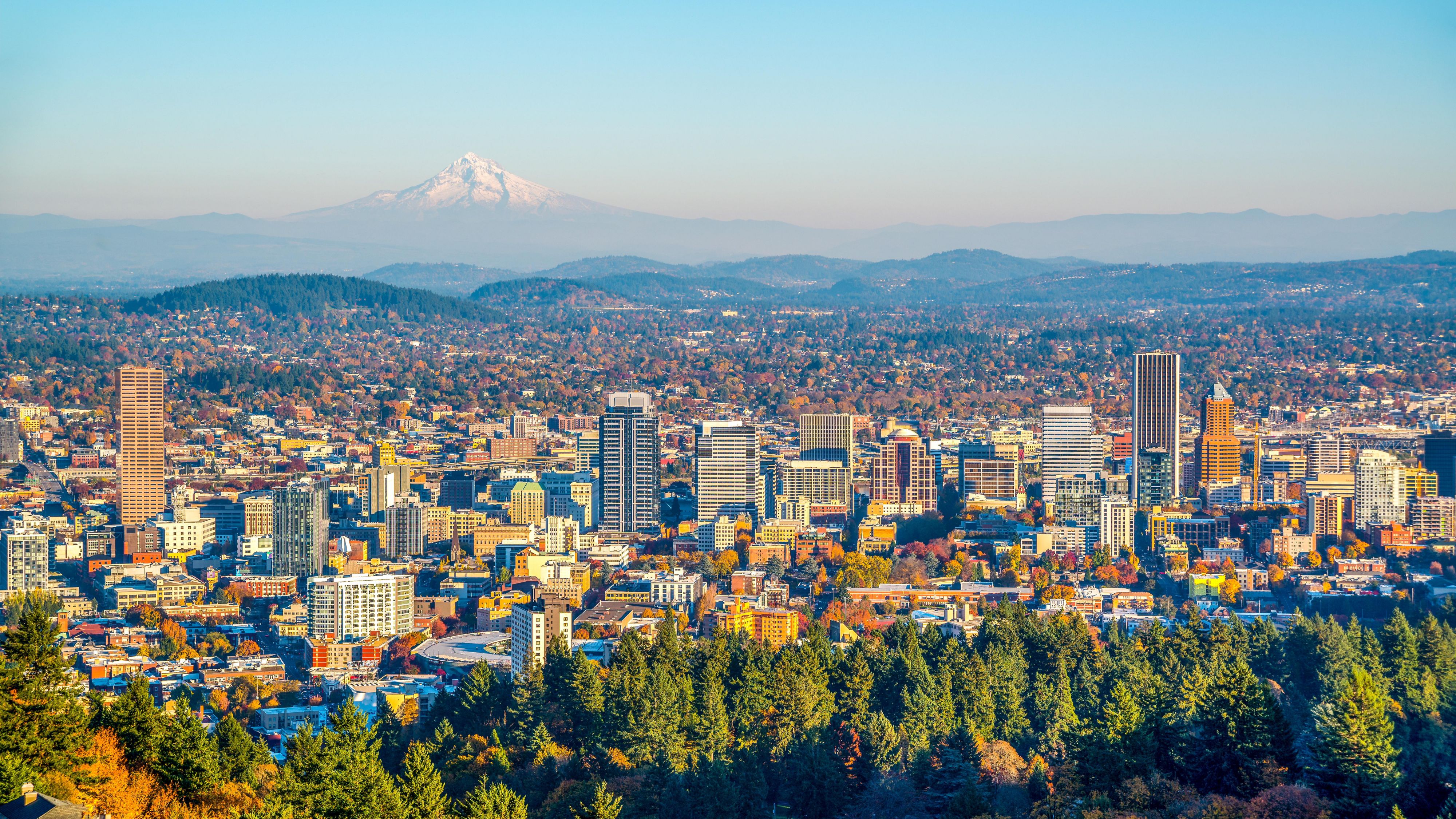 Portland city view
