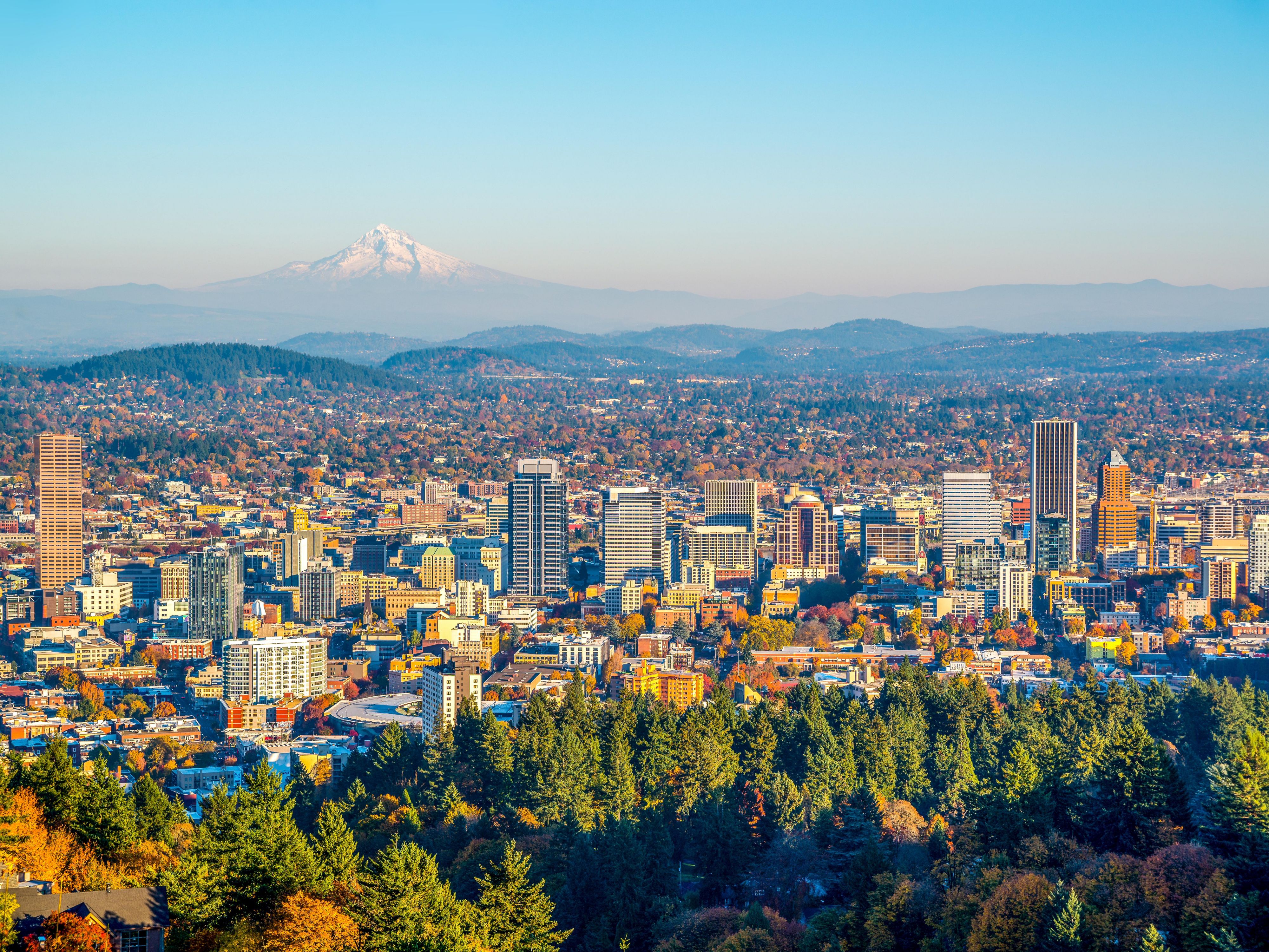 A view of the city with mountains in the background