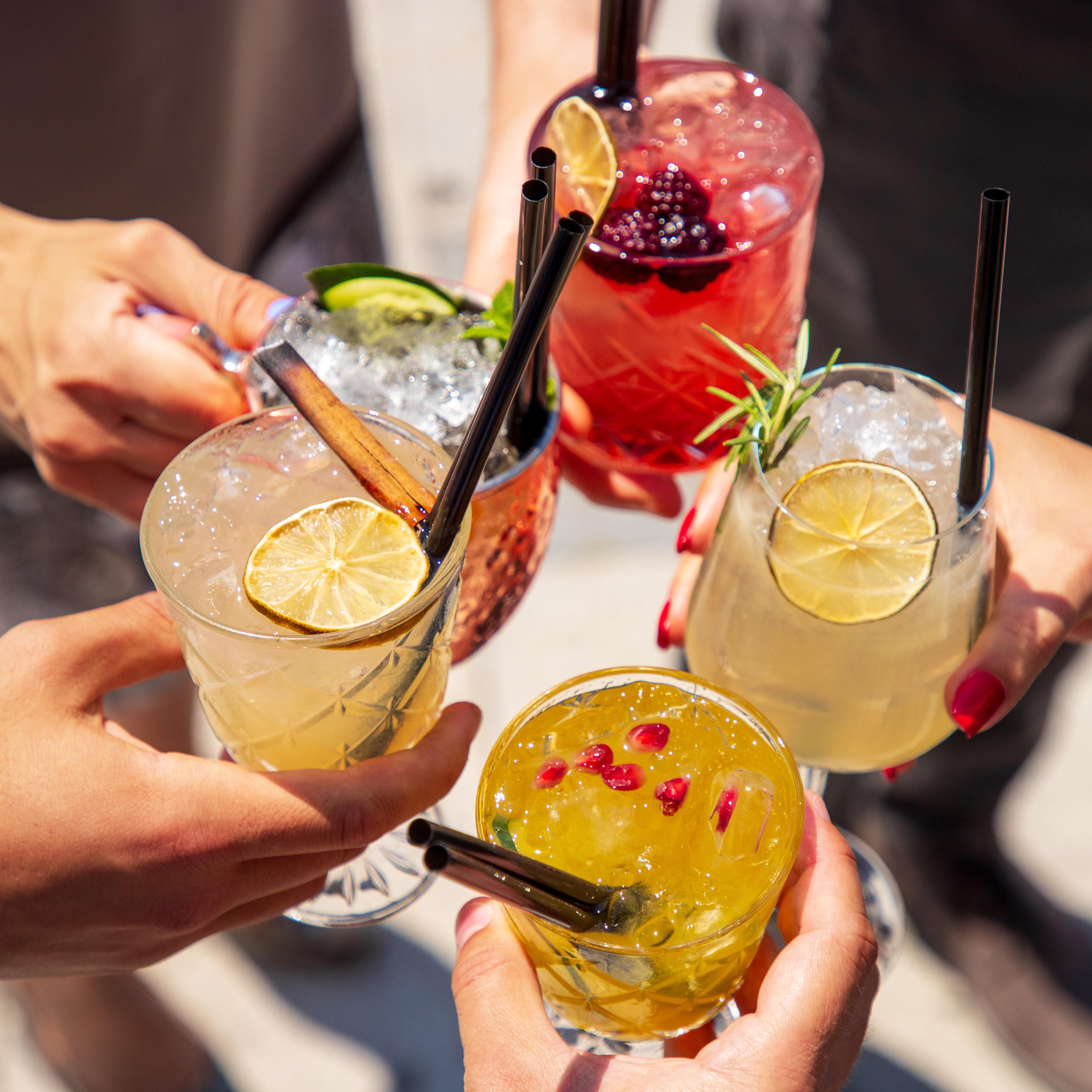 Friends toasting drinks