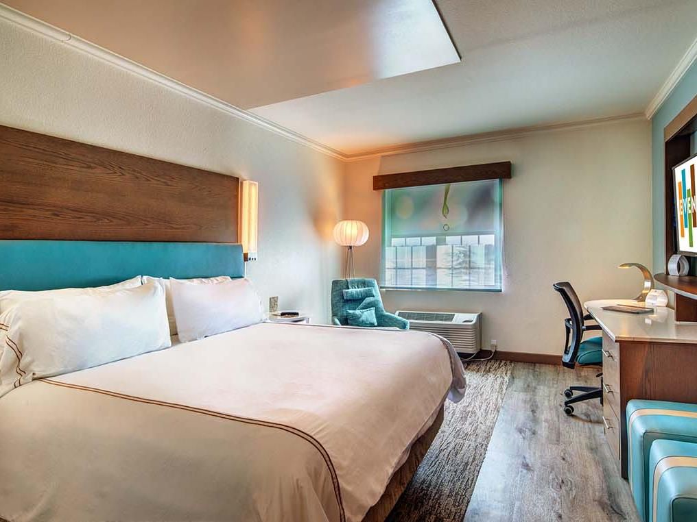 Our modern rooms are spacious and pet-friendly.