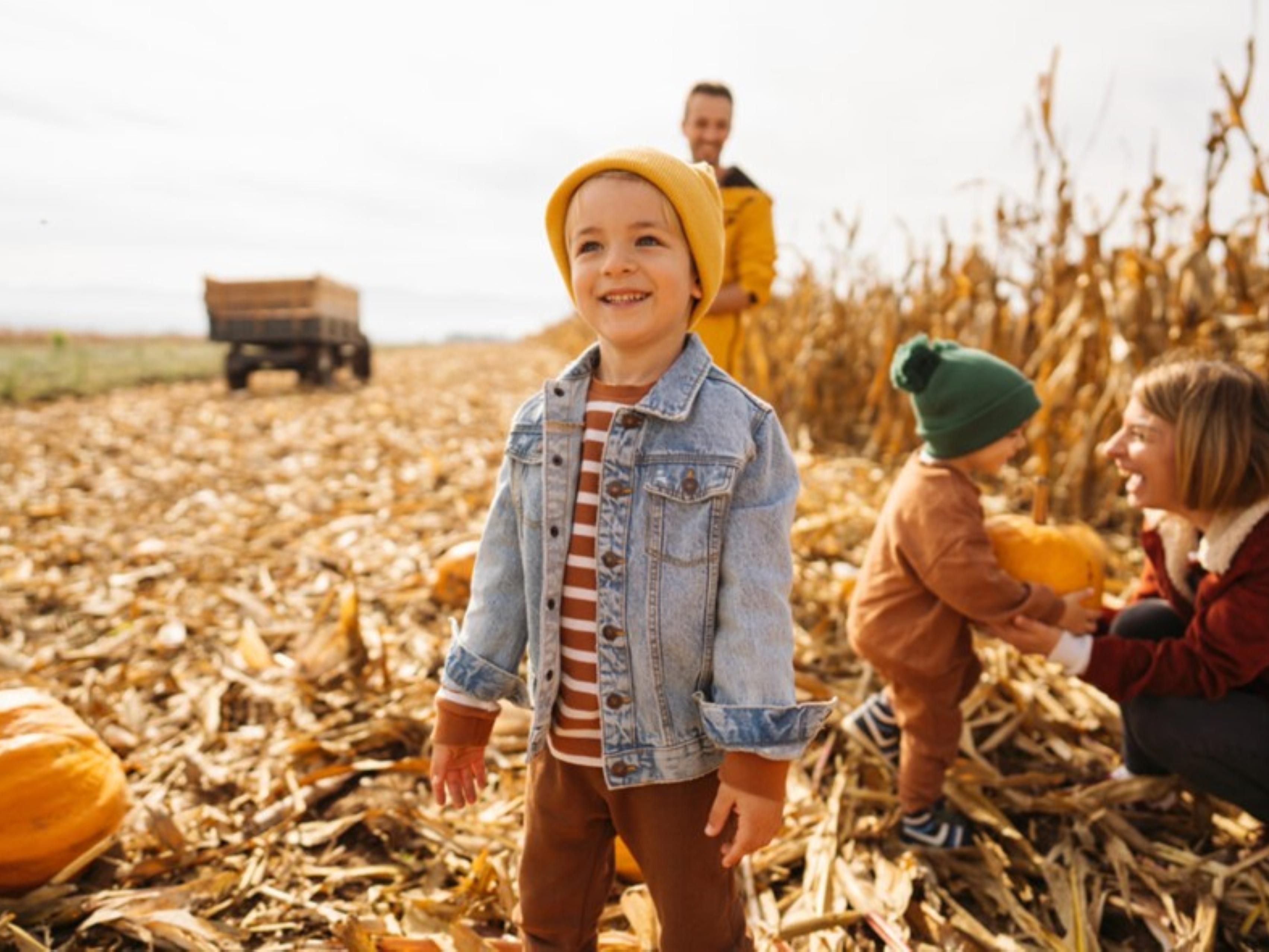 Fall in the Chicago area is packed with fantastic, family-friendly attractions. Some wonderful events this season include Puckerville Farms pumpkin patch, Forest View Farms petting zoo and pony rides, Odyssey Fun Farm corn maze and hayrides, and Boo Bash trick-or-treating at Tinley Park. Make the most of this events and plan your fall weekends now!
