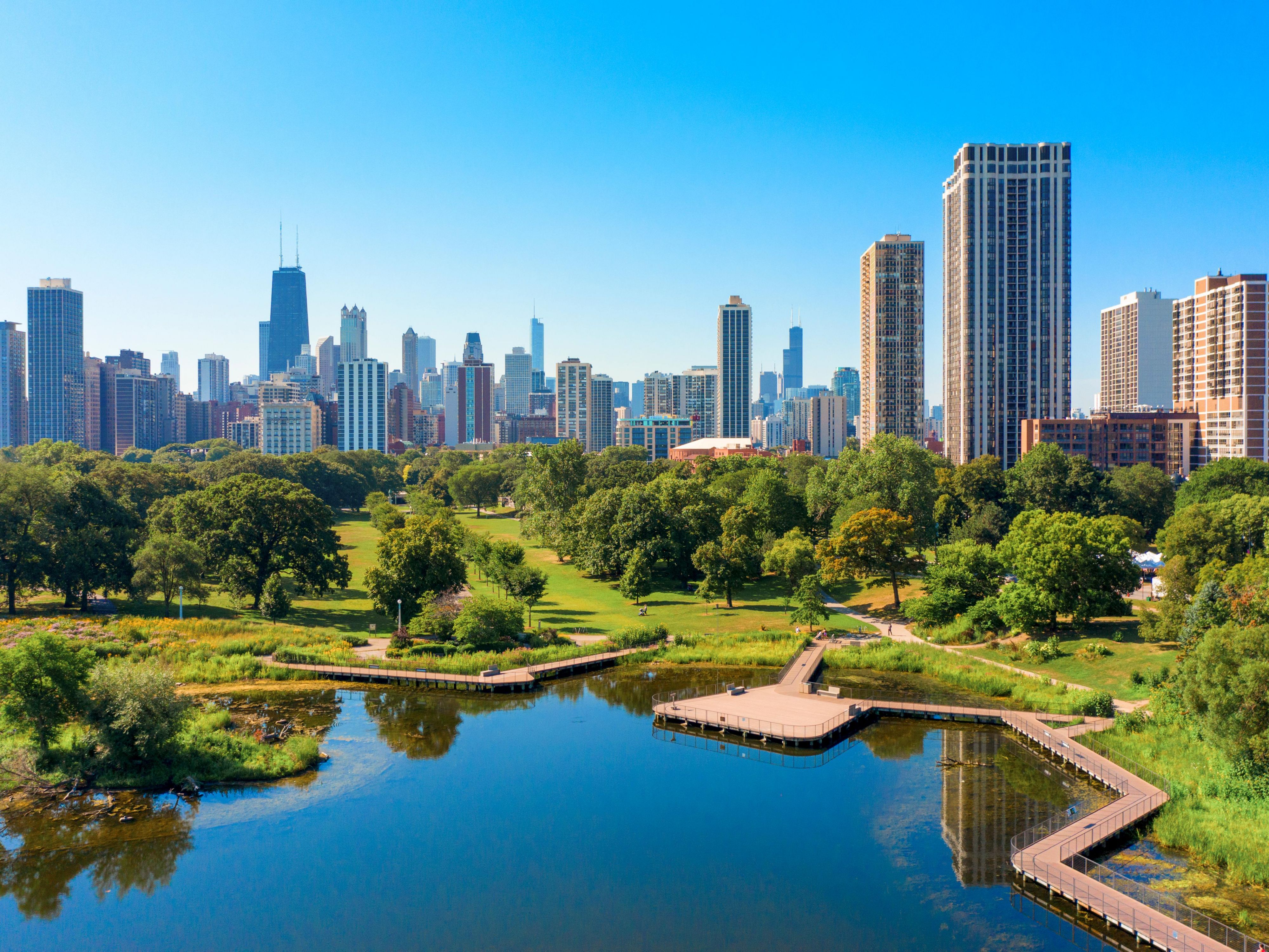 A view of the Chicago skyline