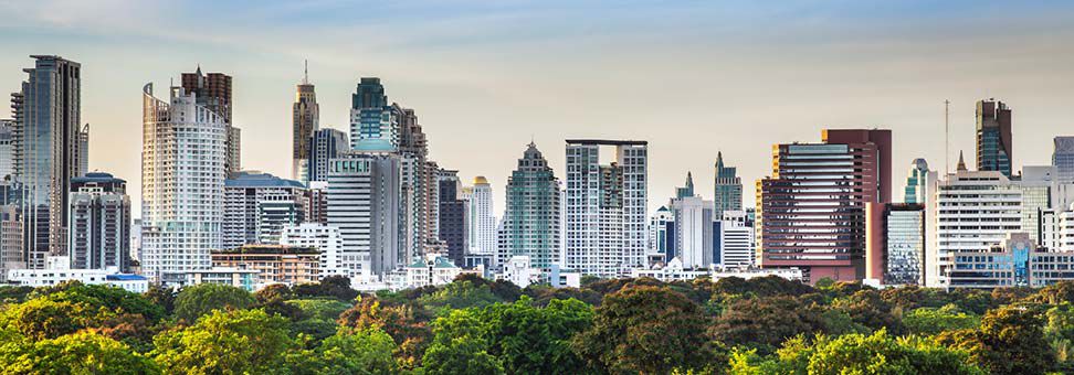 Uitzicht op de skyline van Bangkok. Wolkenkrabbers met boomtop op de voorgrond