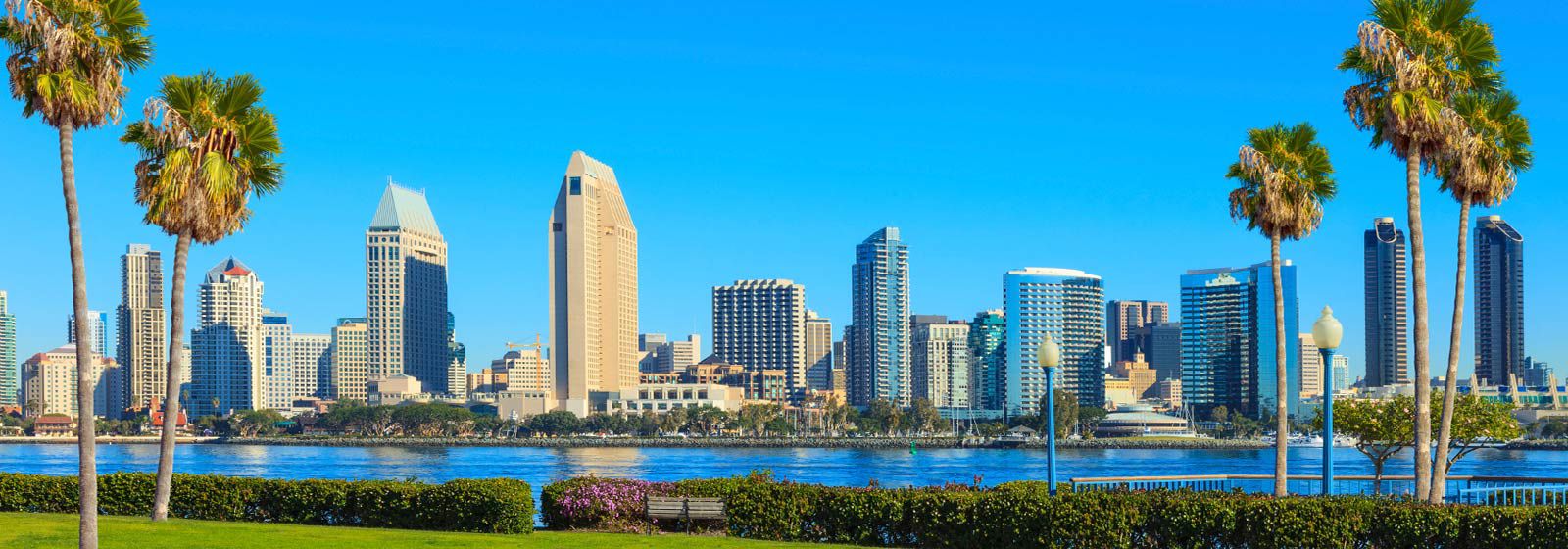 Skyline of San Diego scrapers with palm trees in the foreground