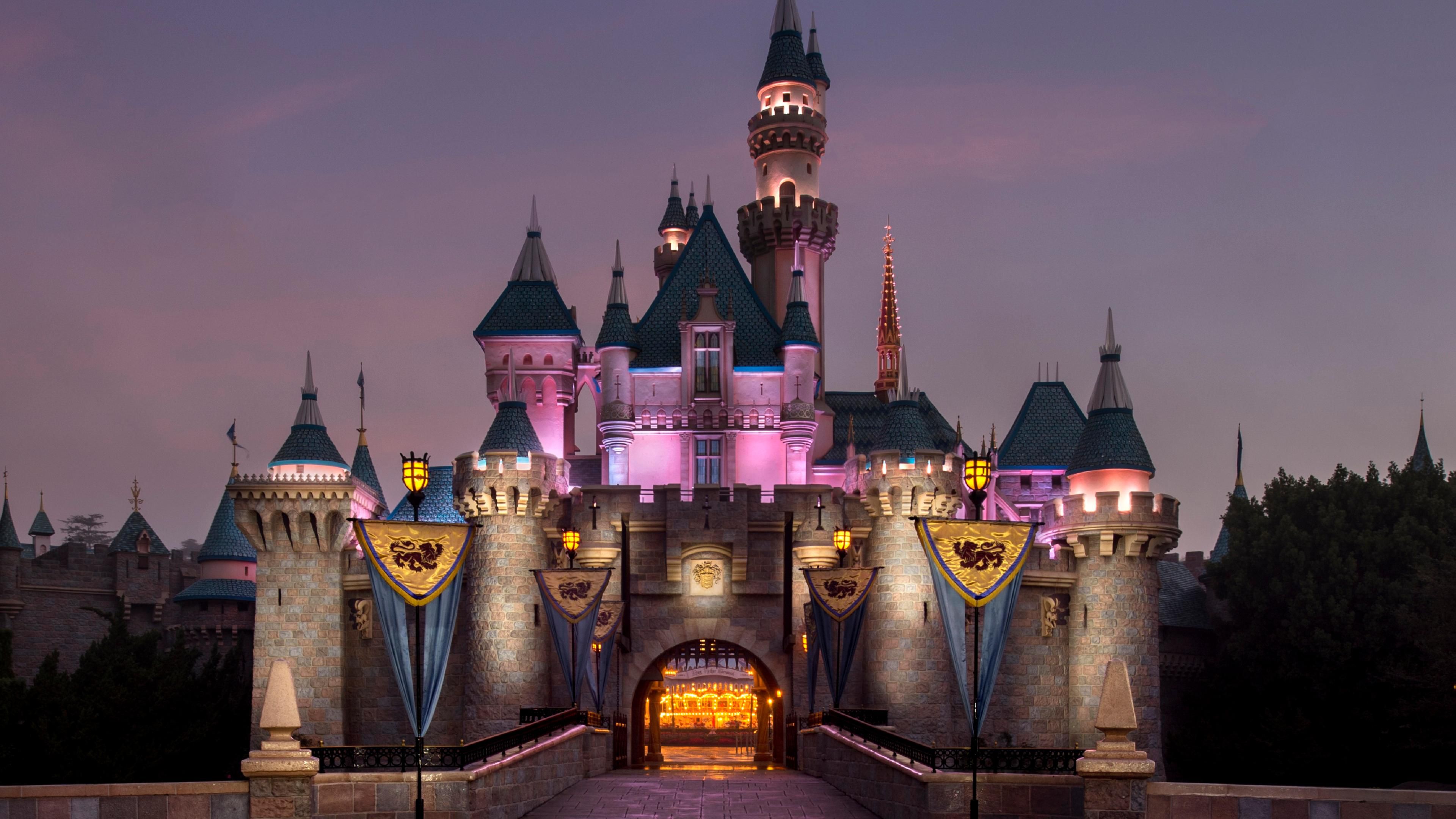 Disney's Magic Kingdom Castle at night