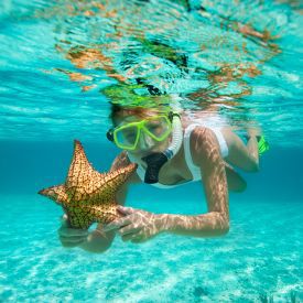 Caribbean Hotels