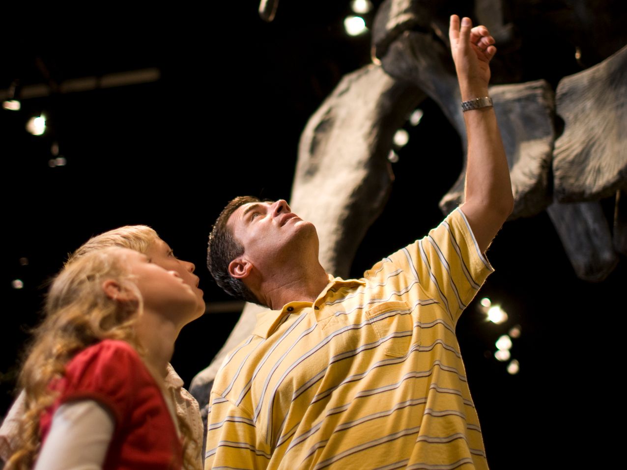 Looking at dinosaur in museum