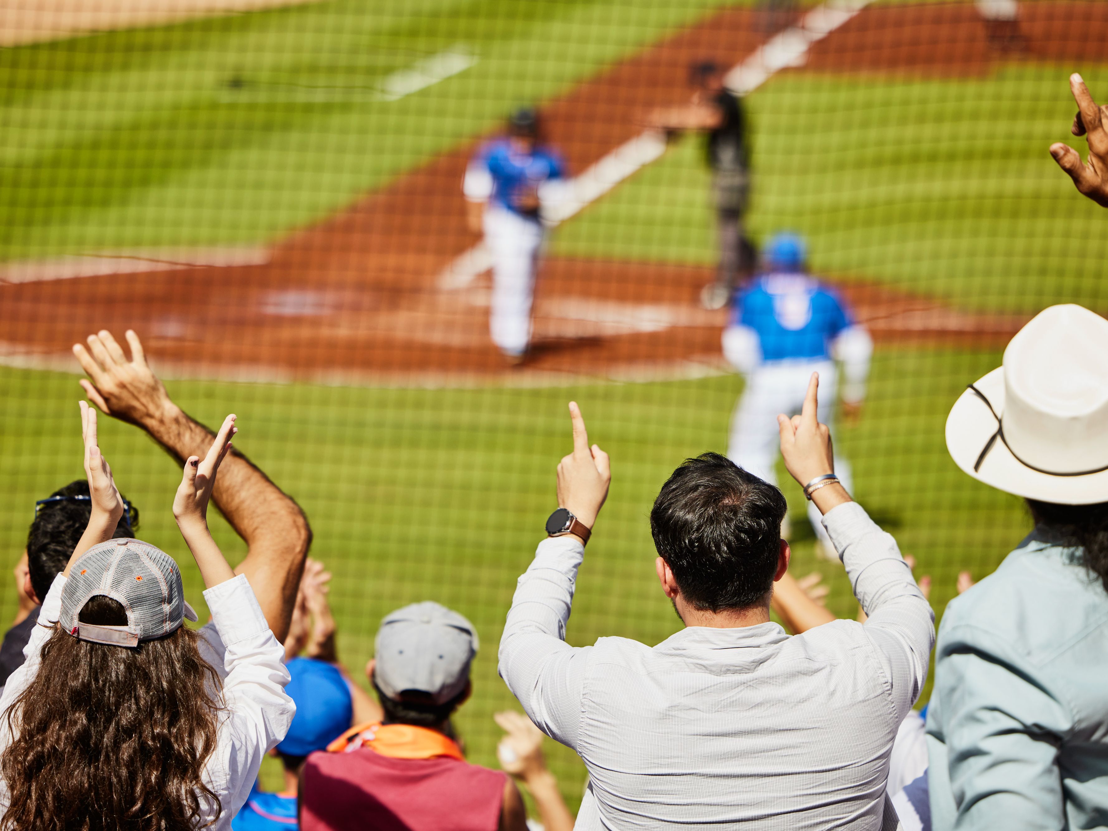 Fans at a baseball game.