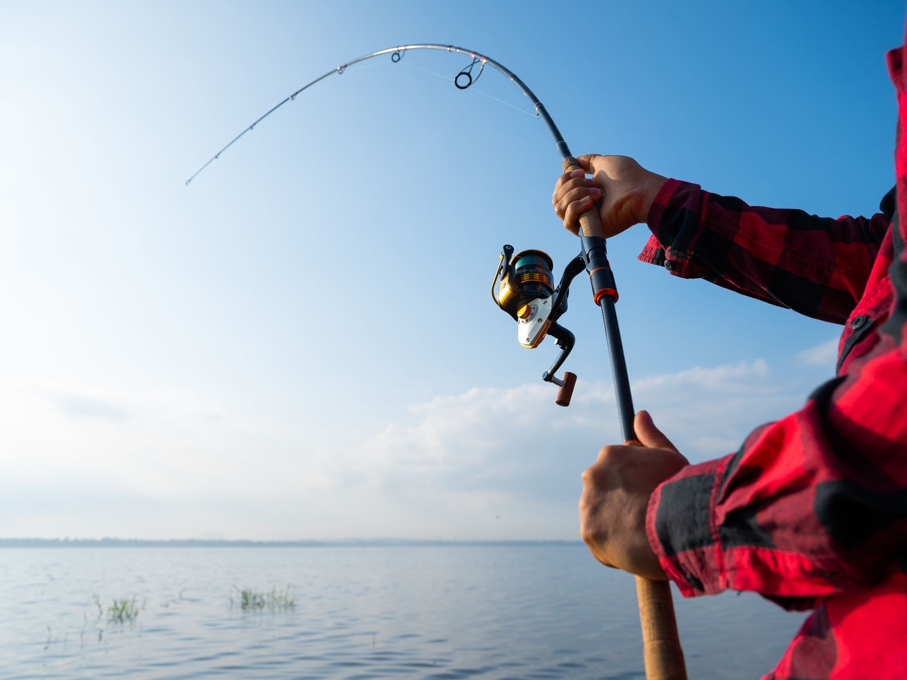 Man catching a fish