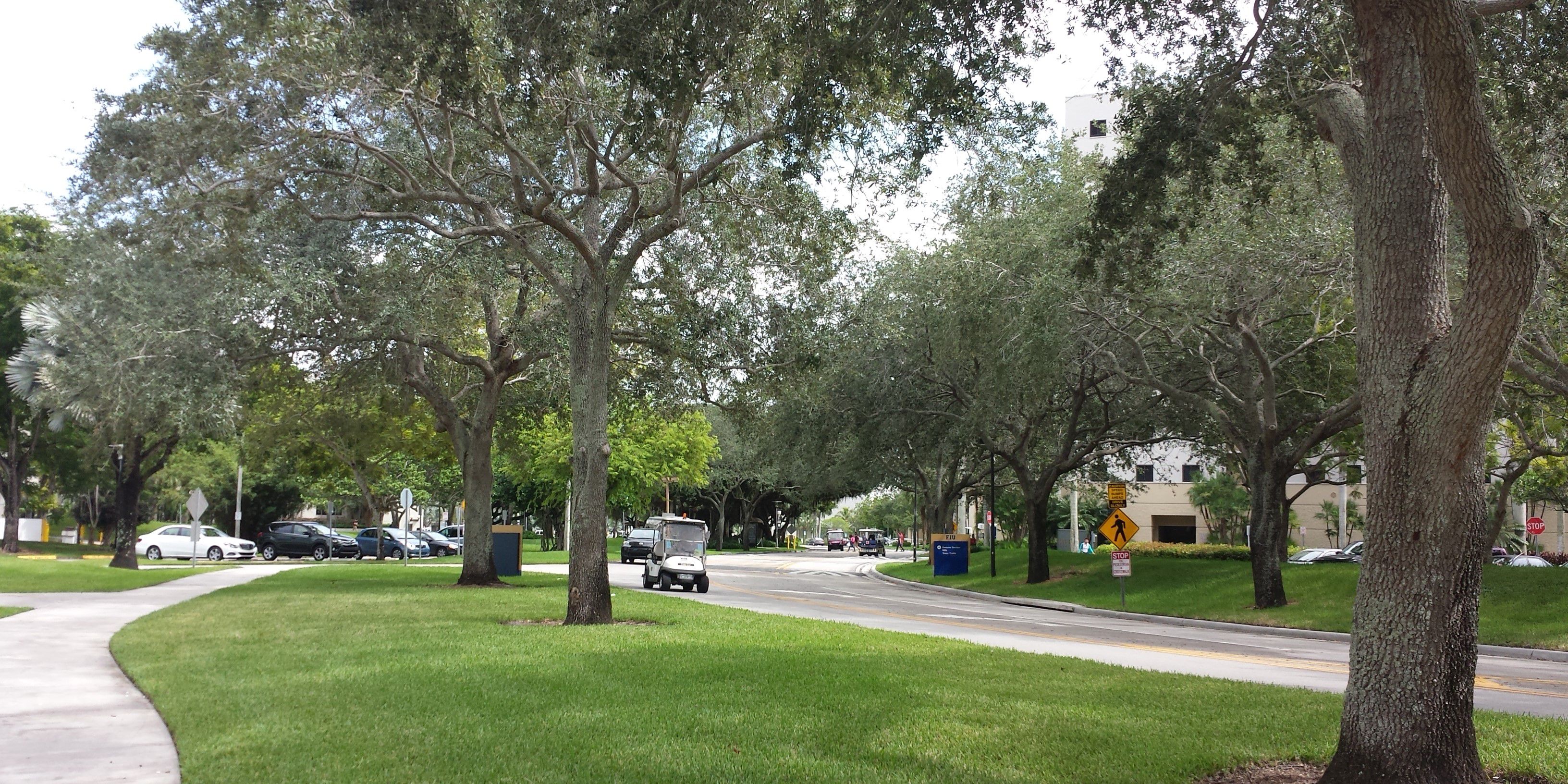 Florida International University campus