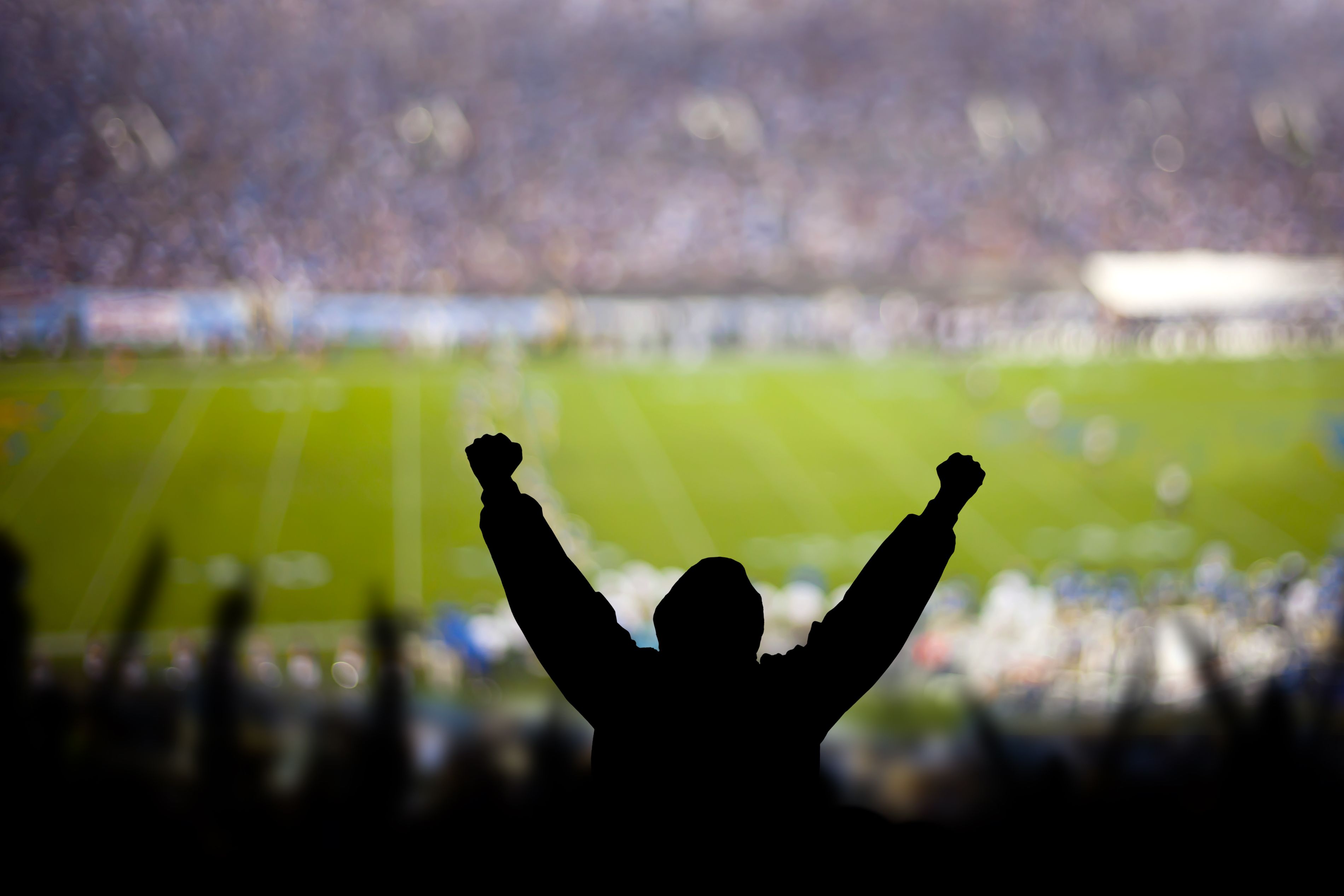 Football fans watching a game.
