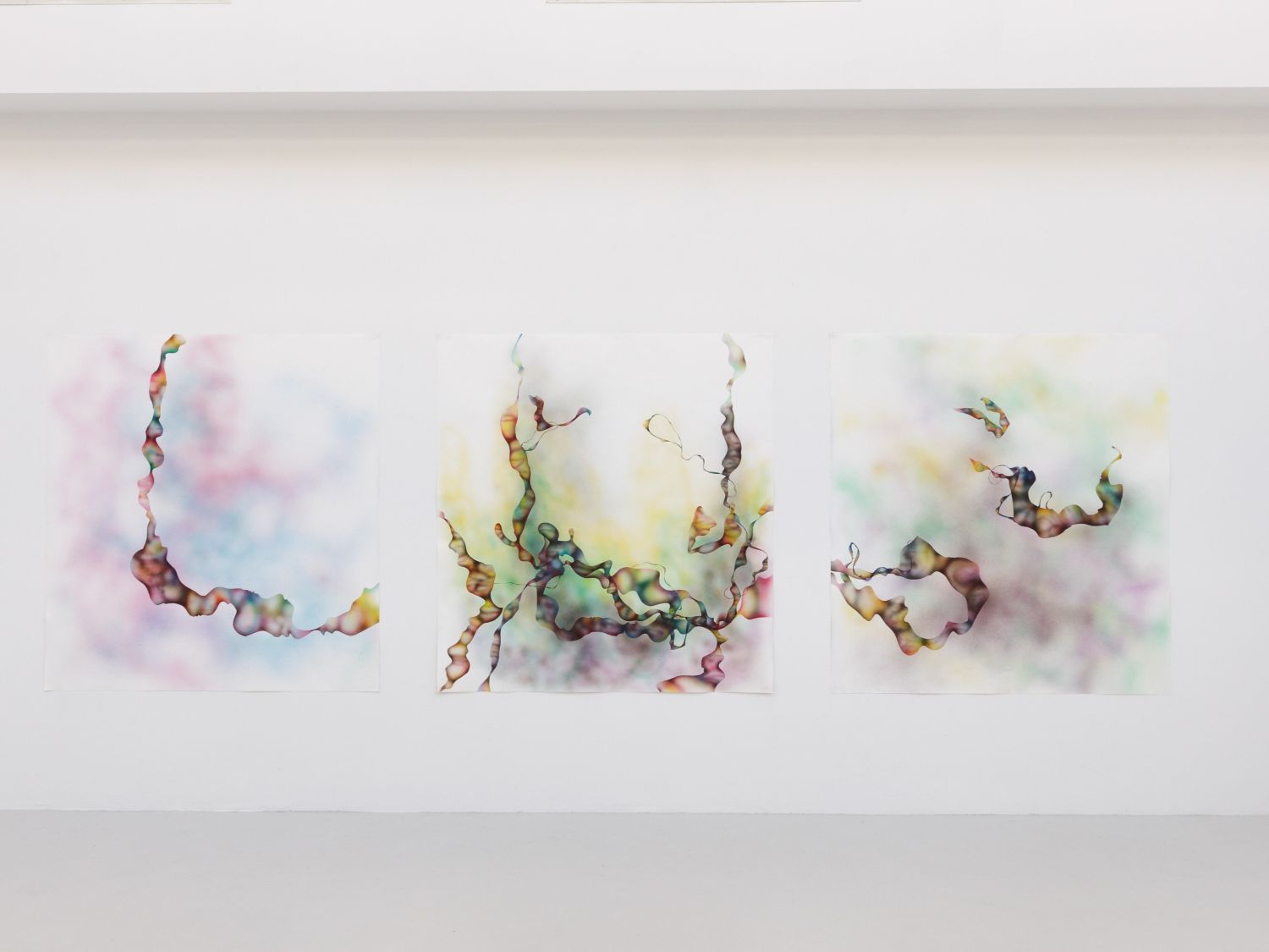 Mison Schreff Ephemeral Formations