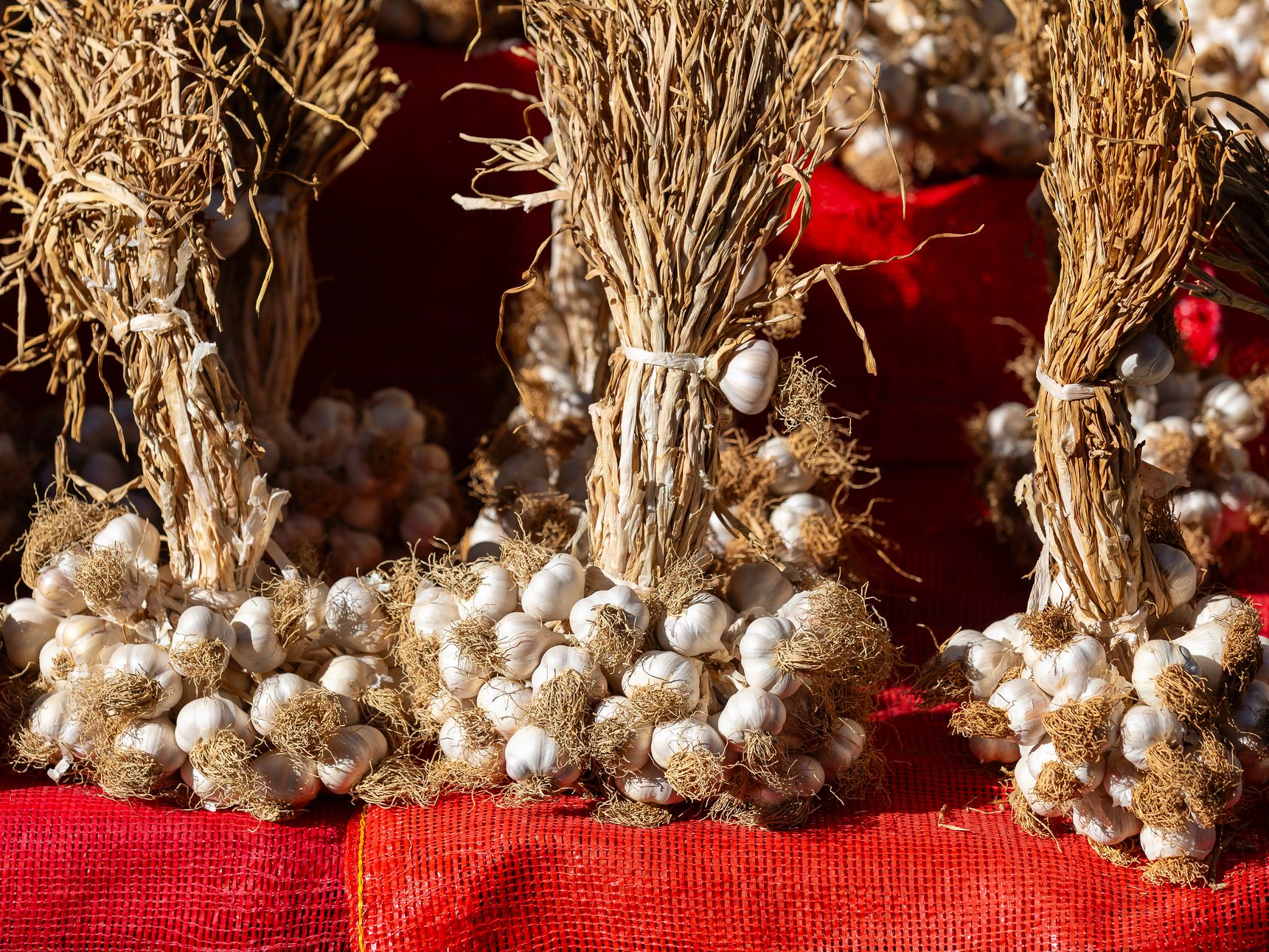 Display of garlic on a table at a festival.