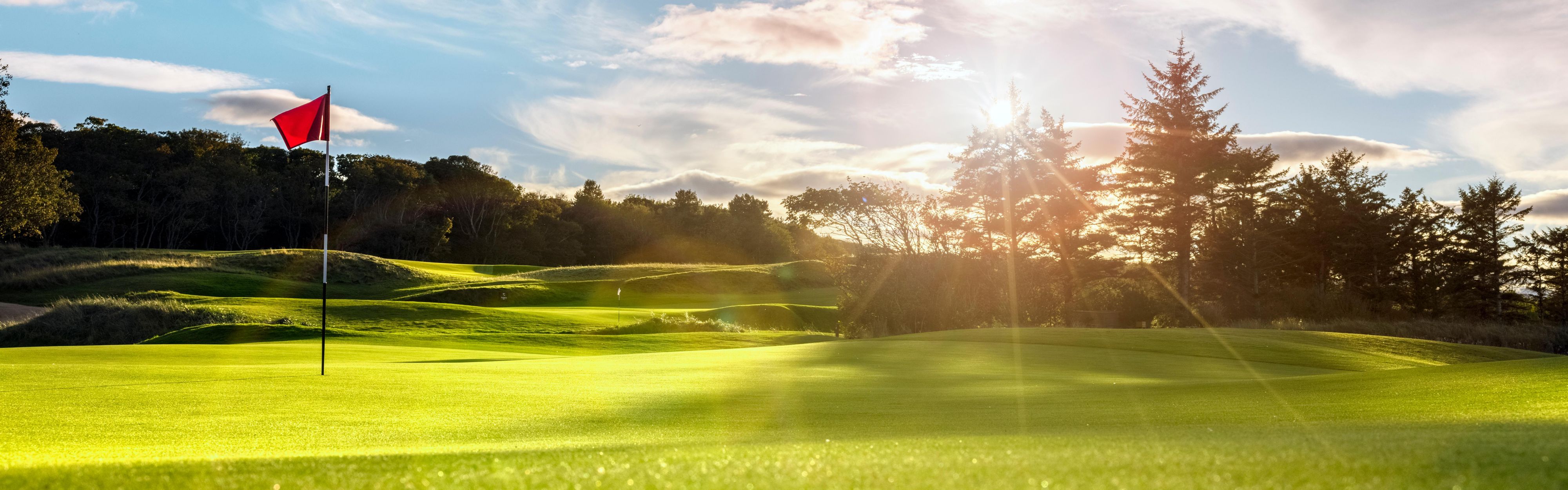 Explore amazing golf courses in the Aiken area.