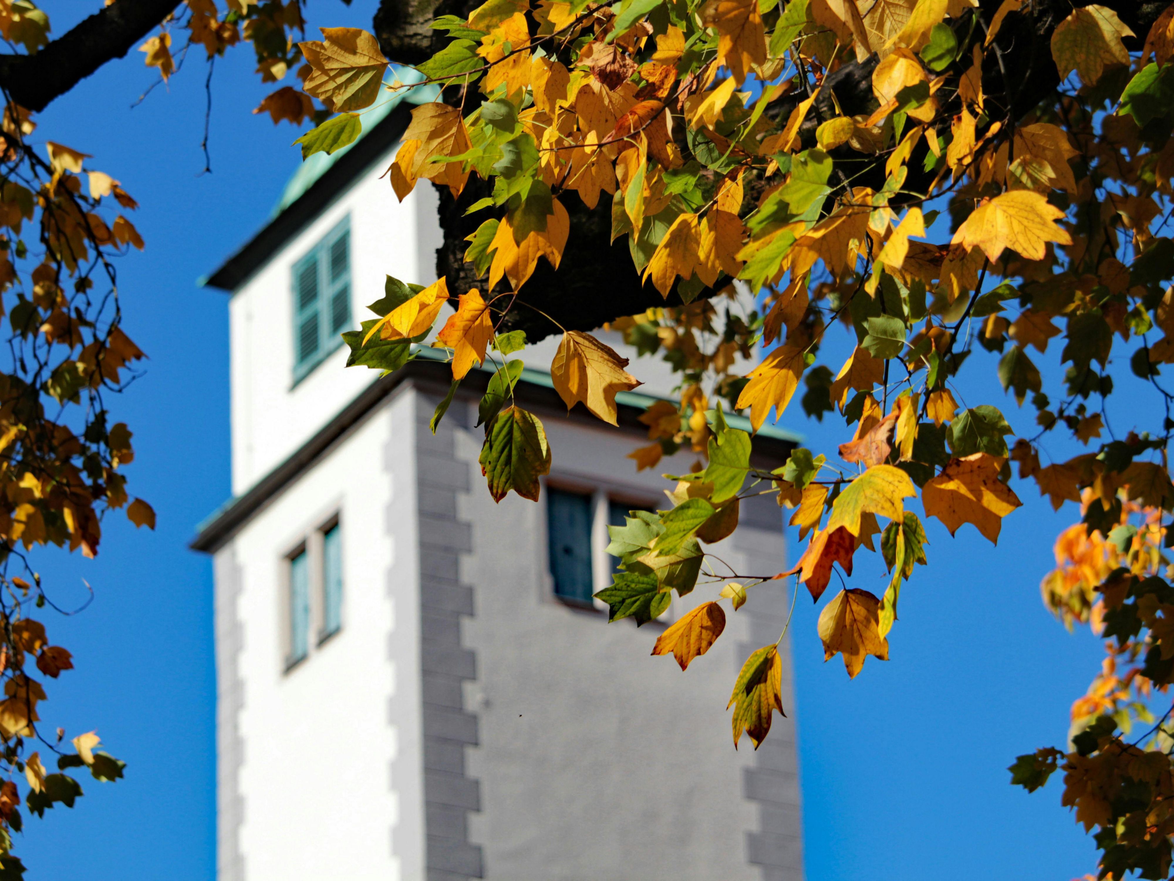 Experience the vibrant autumn colors around Augsburg! Stroll through parks, along rivers, or explore historic old town streets – all just minutes from Garner Hotel. Perfect for relaxed autumn days.