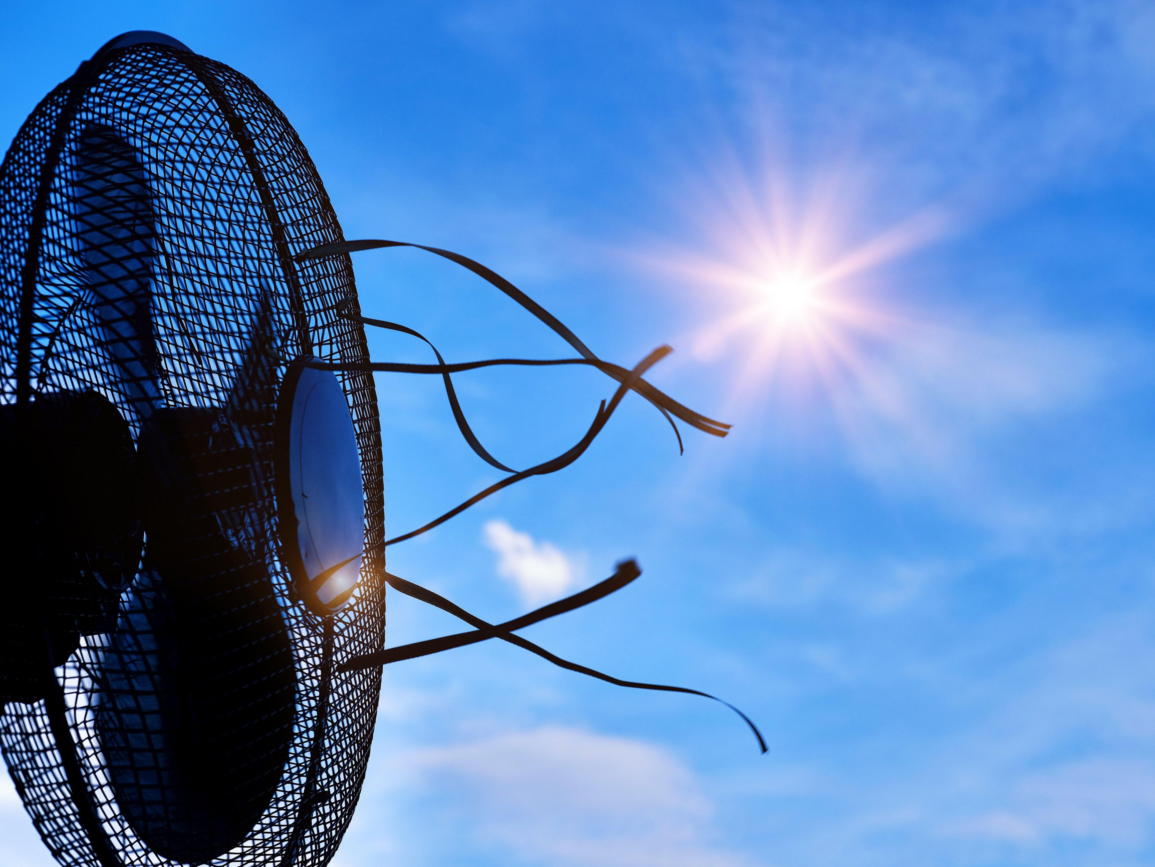To keep you comfortable during warm summer days, all our rooms are equipped with a fan. Enjoy a refreshing breeze and a relaxing stay – even when temperatures rise.